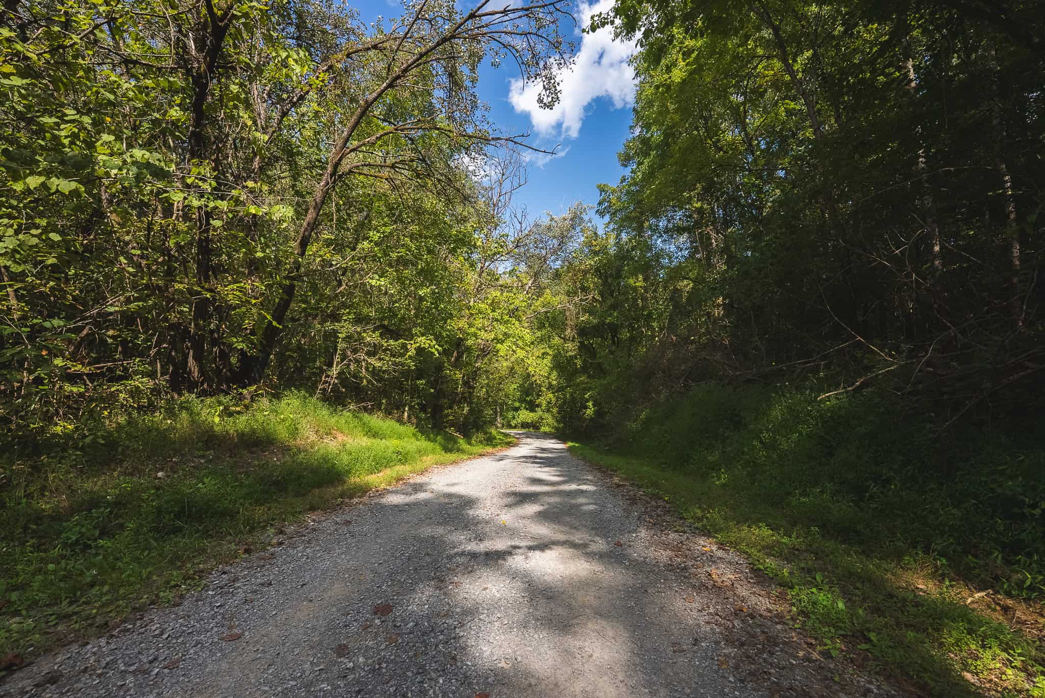 Unrestricted Riverfront Land in Hawkins County, TN-Holston River