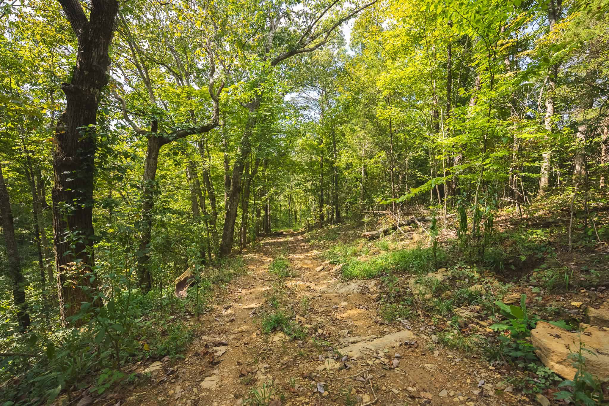 Unrestricted Riverfront Land in Hawkins County, TN-Holston River