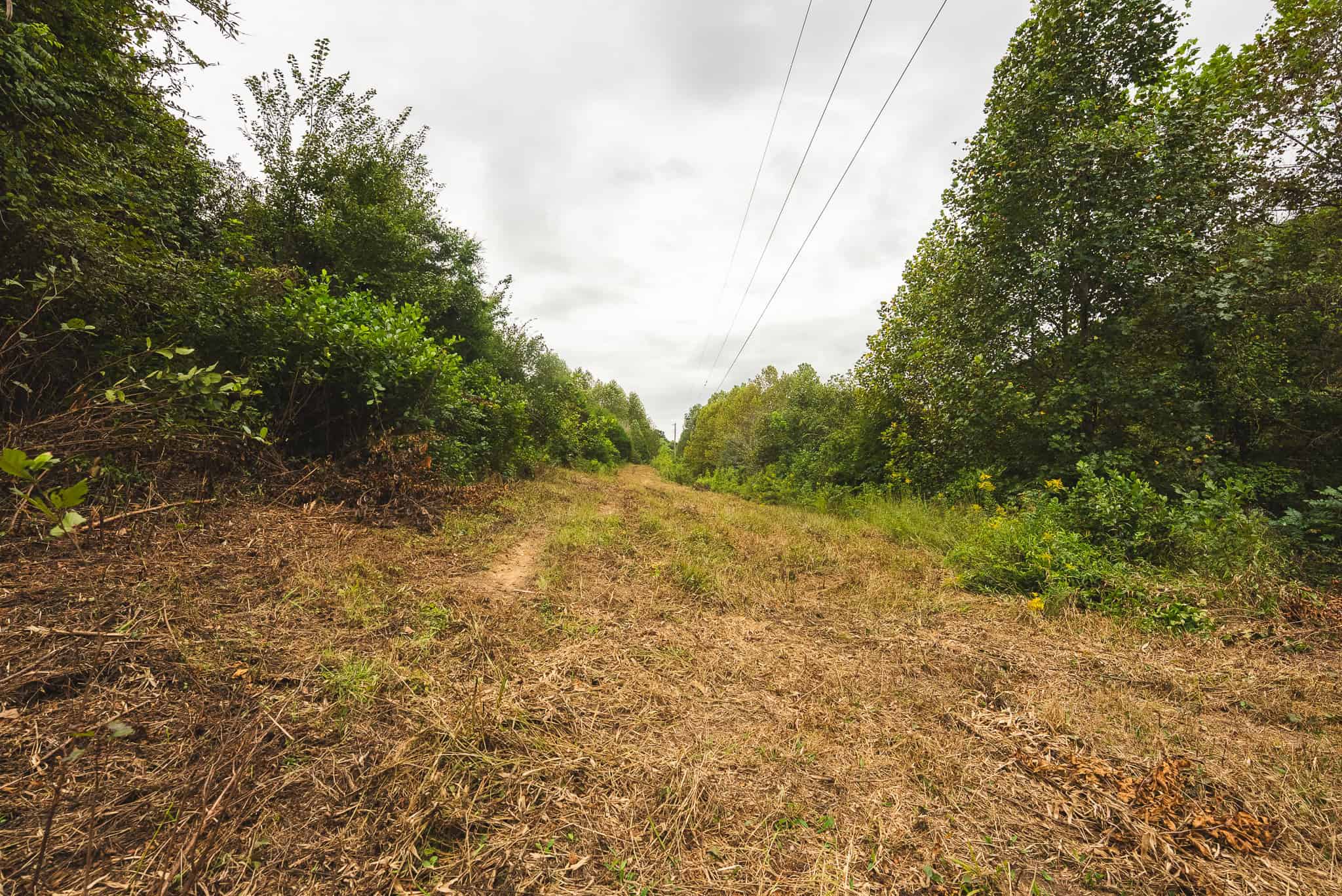 Auction-East Tennessee Hunting Land-Hawkins County-Creek Springs