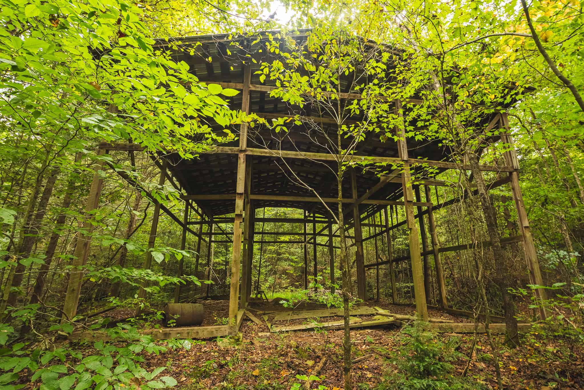 Auction-East Tennessee Hunting Land-Hawkins County-Creek Springs