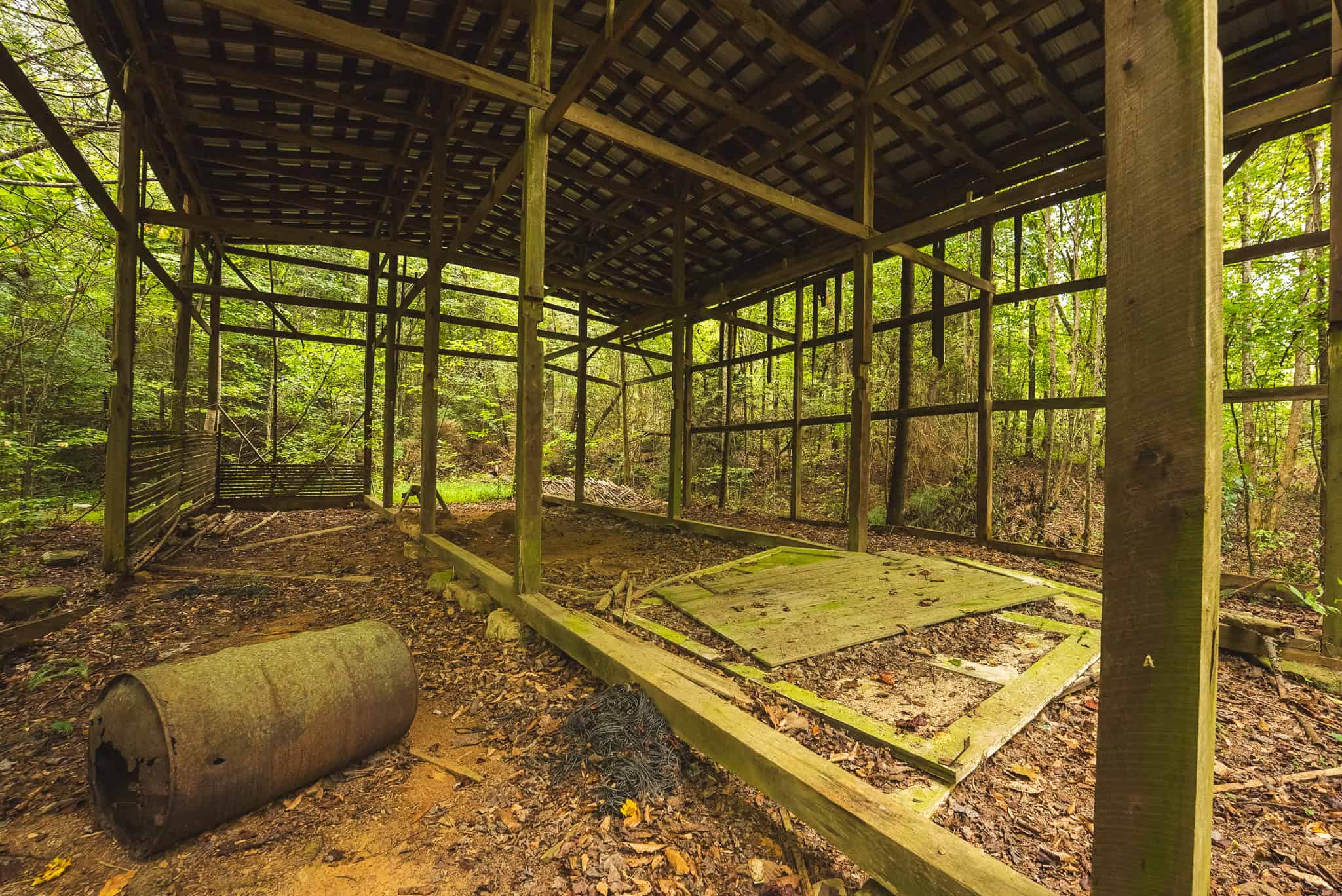 Auction-East Tennessee Hunting Land-Hawkins County-Creek Springs