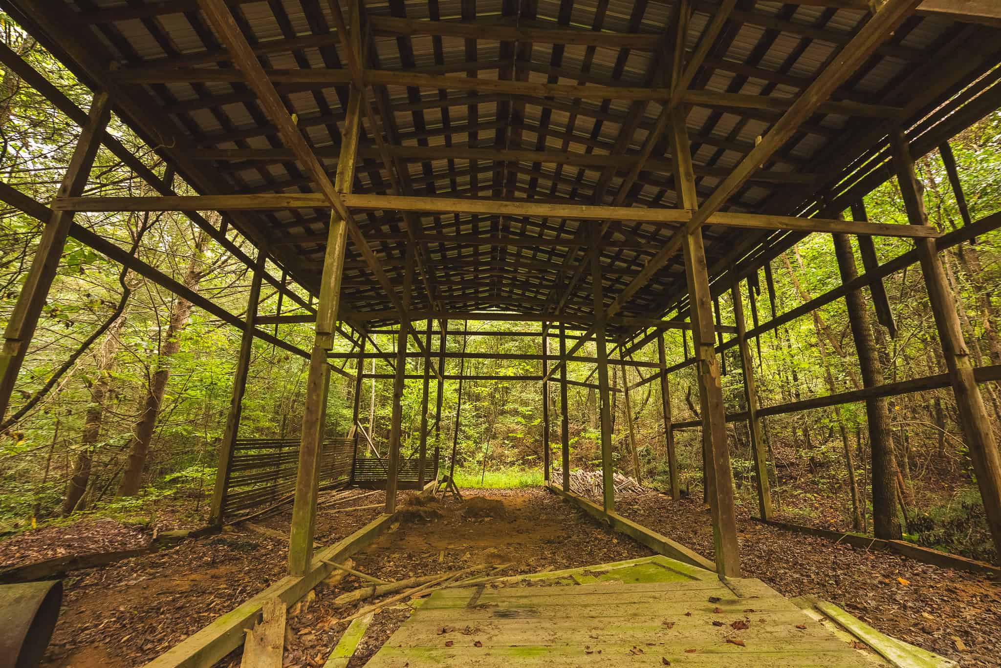 Auction-East Tennessee Hunting Land-Hawkins County-Creek Springs