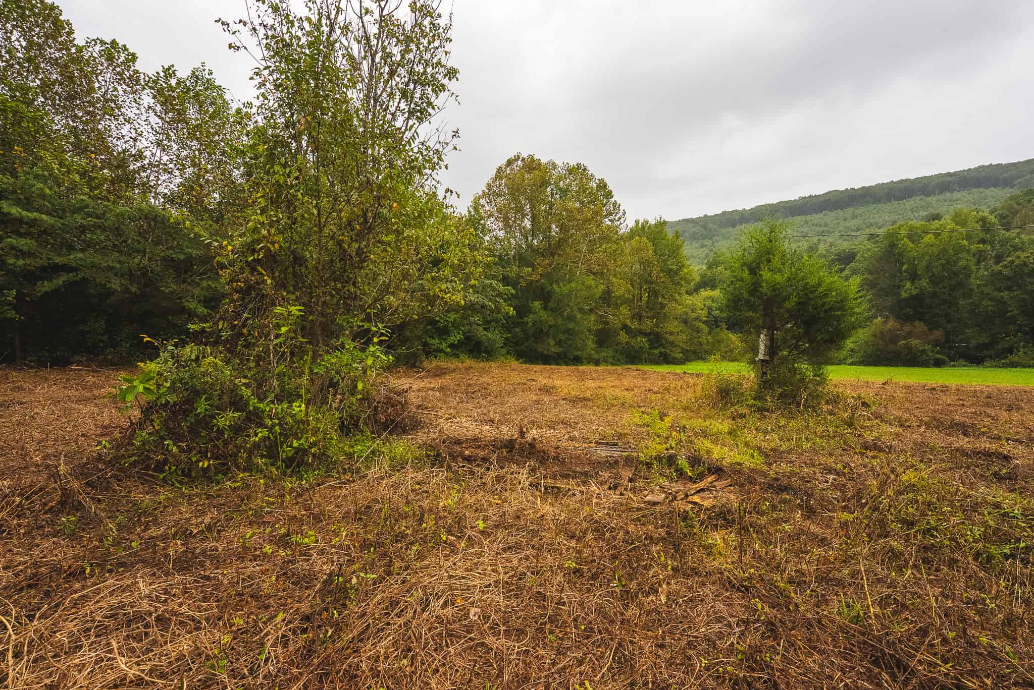 Auction-East Tennessee Hunting Land-Hawkins County-Creek Springs