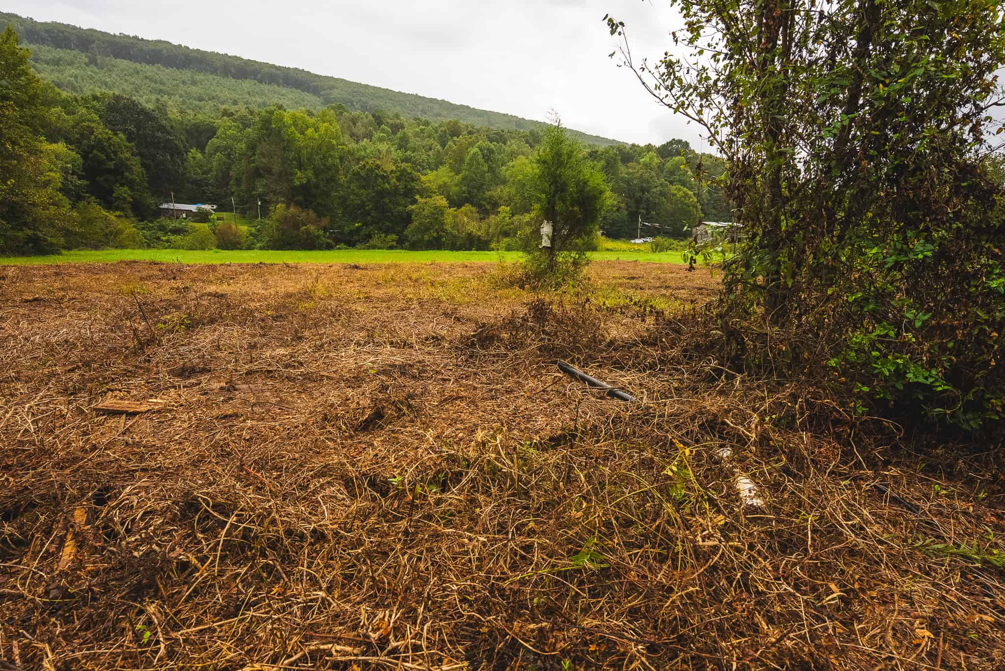 Auction-East Tennessee Hunting Land-Hawkins County-Creek Springs