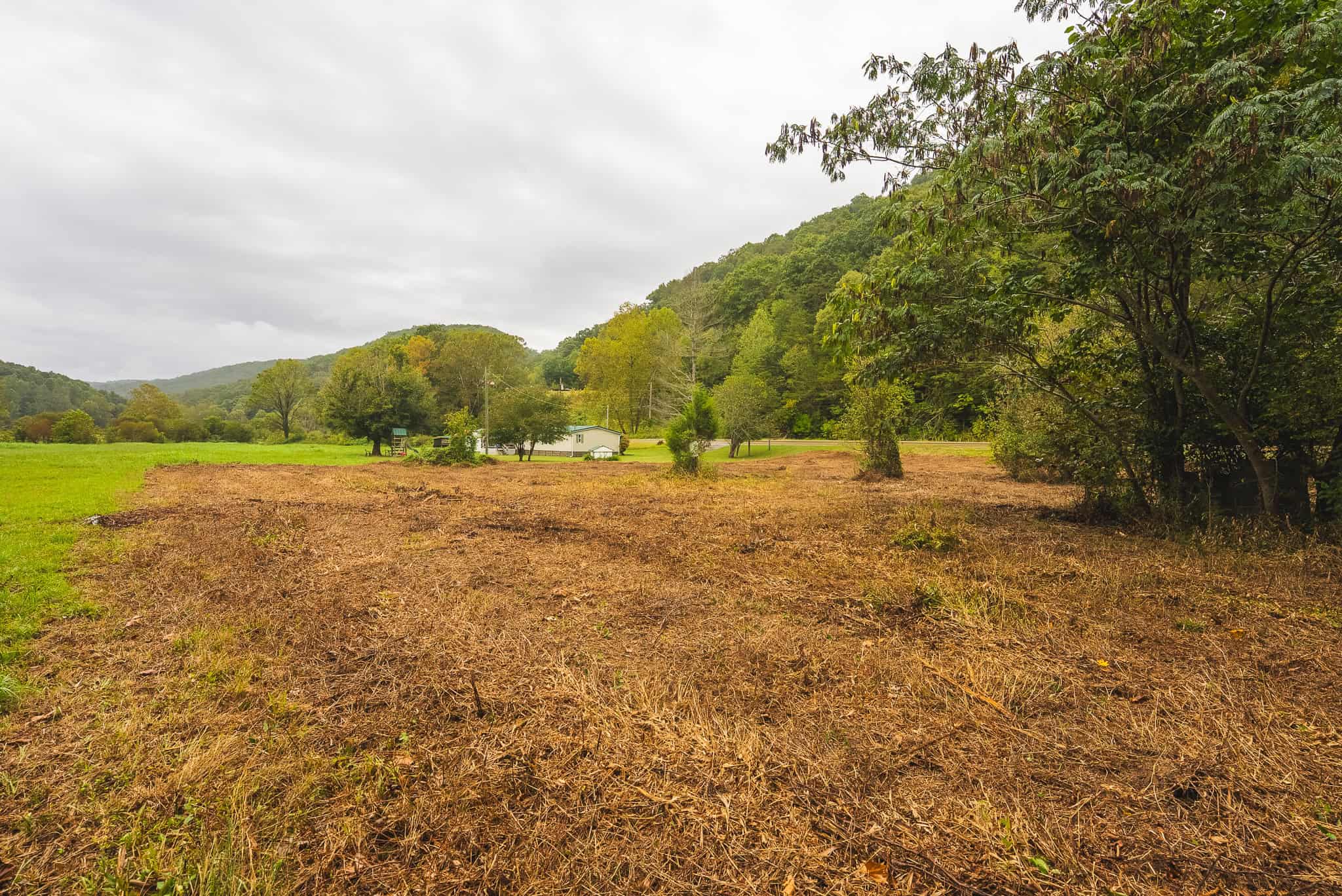 Auction-East Tennessee Hunting Land-Hawkins County-Creek Springs