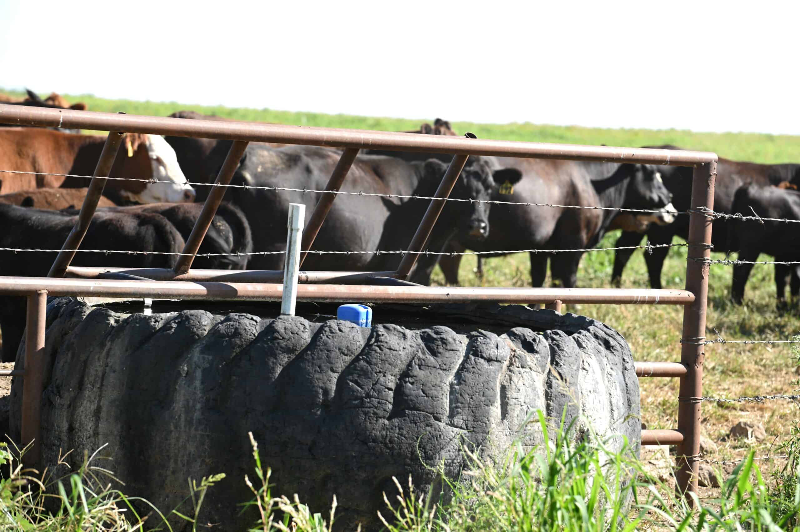 Tbd County Rd NN Sheldon, MO 64784