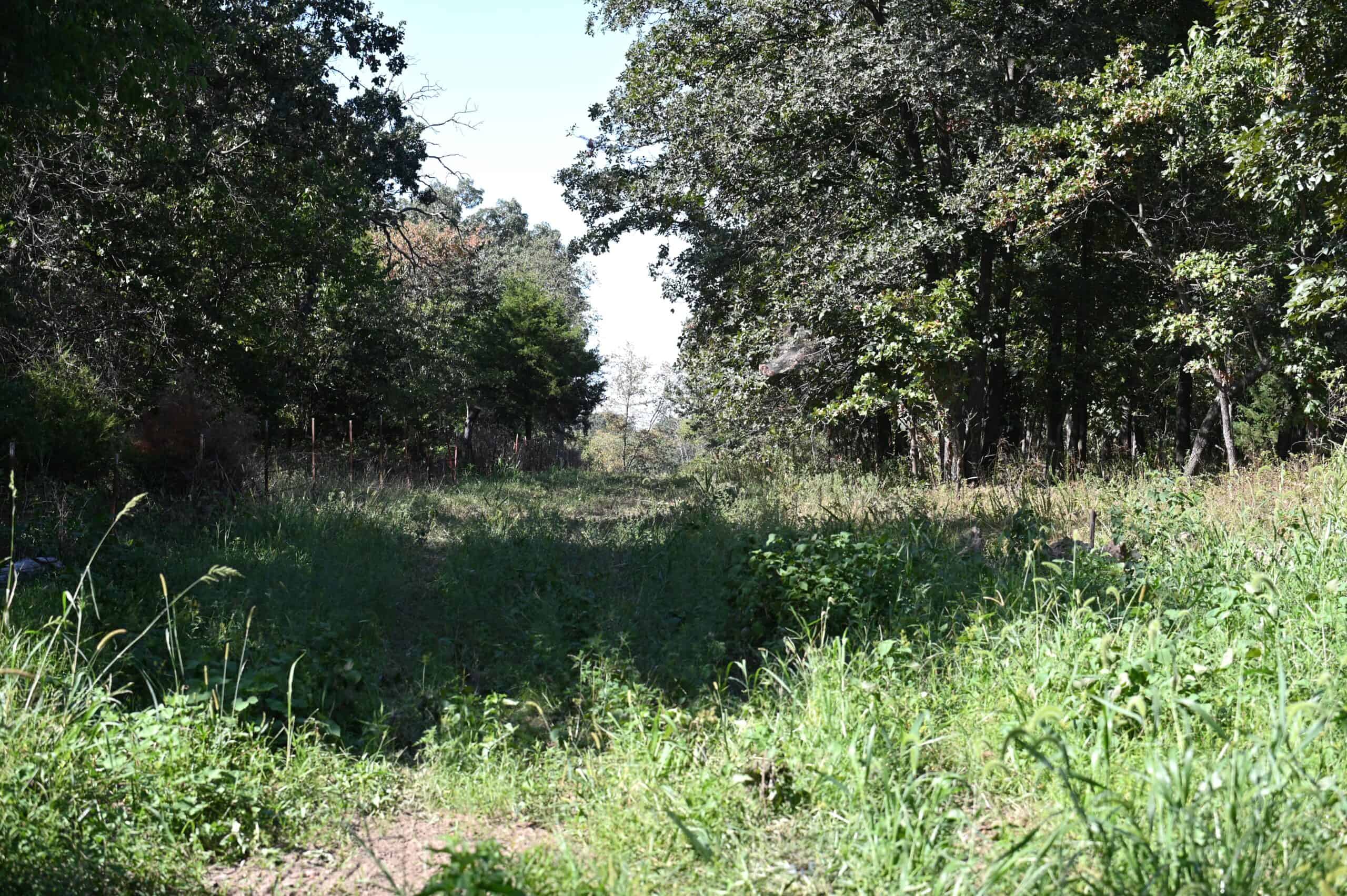 Tbd County Rd NN Sheldon, MO 64784