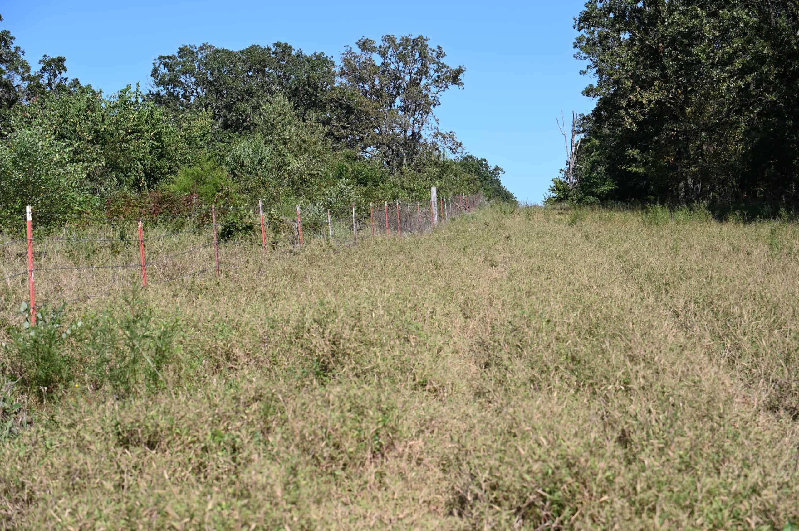 Tbd County Rd NN Sheldon, MO 64784