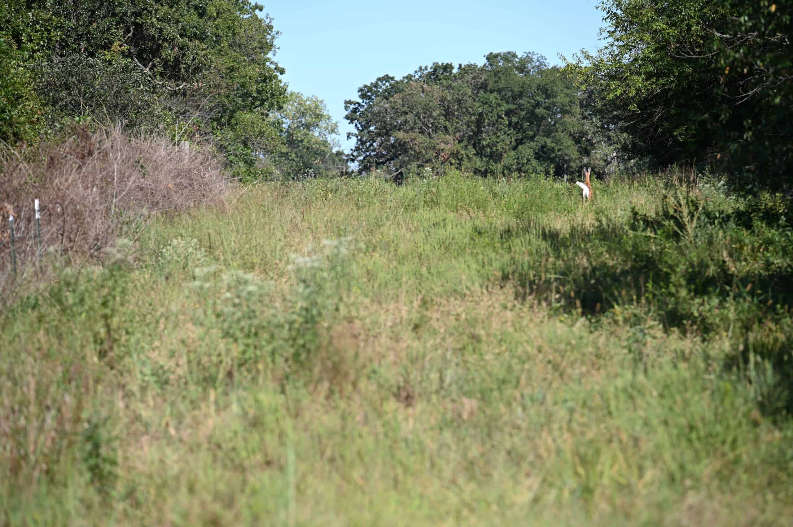 Tbd County Rd NN Sheldon, MO 64784