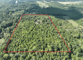 ±16.71 Acres in Linden TX | Land For Sale with Cabin & Power