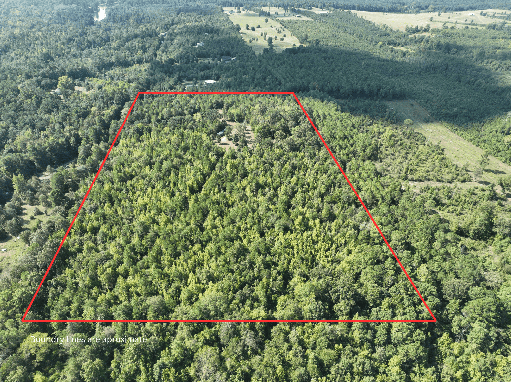 ±16.71 Acres in Linden TX | Land For Sale with Cabin & Power
