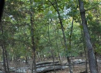 HUNTING LAND FOR SALE IN NORTH CENTRAL ARKANSAS