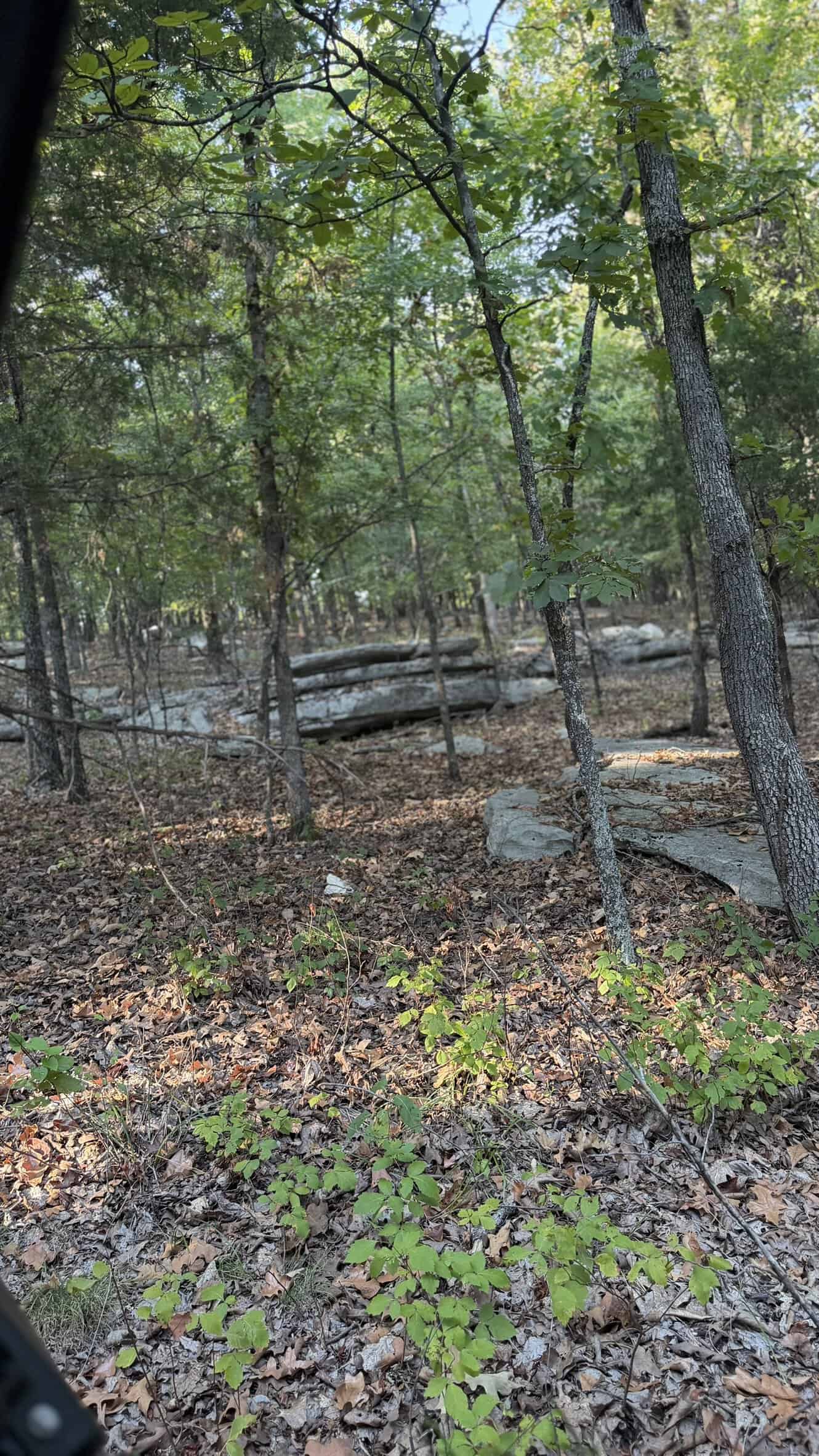 HUNTING LAND FOR SALE IN NORTH CENTRAL ARKANSAS
