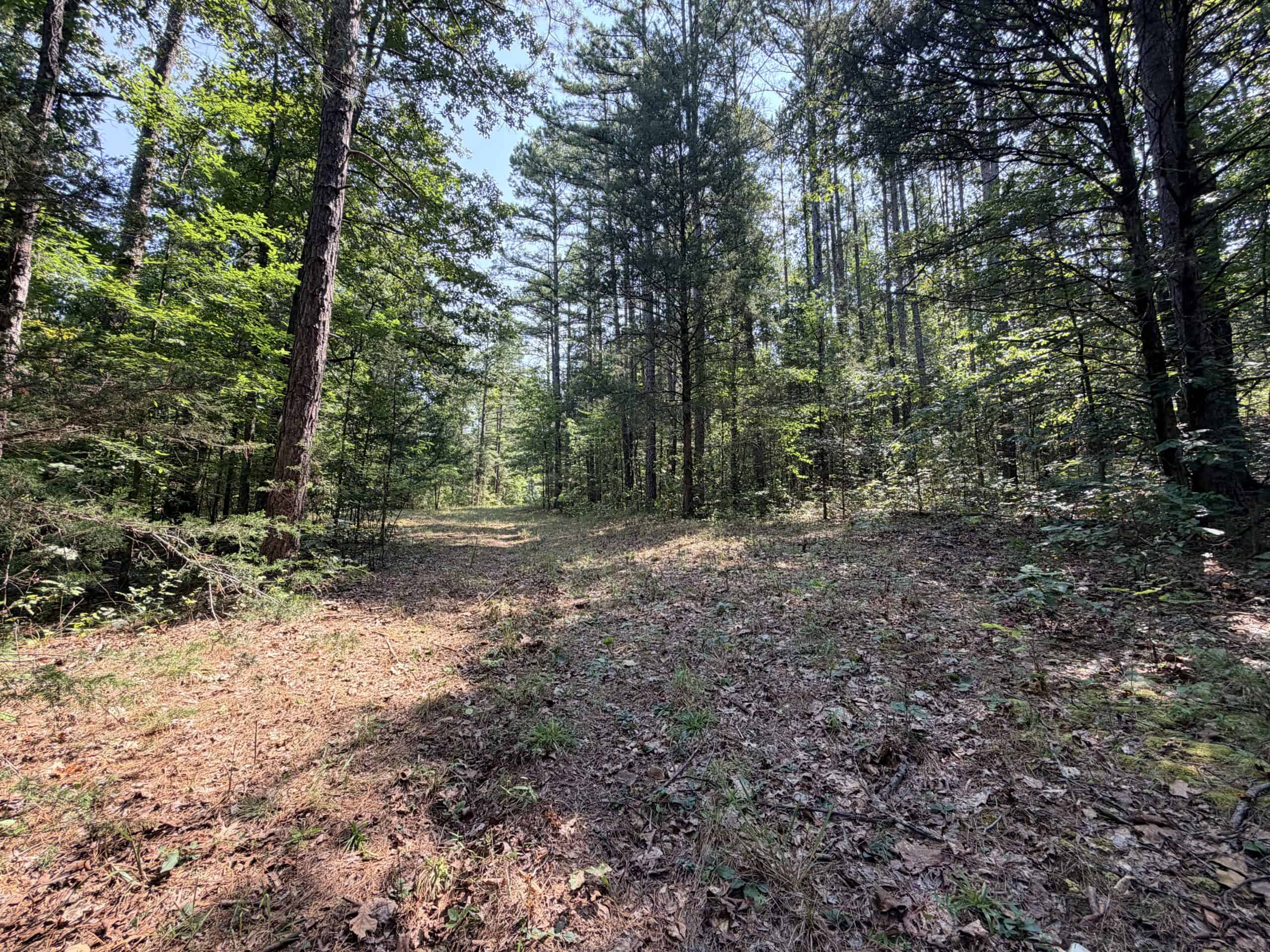 HUNTING LAND FOR SALE IN NORTH CENTRAL ARKANSAS