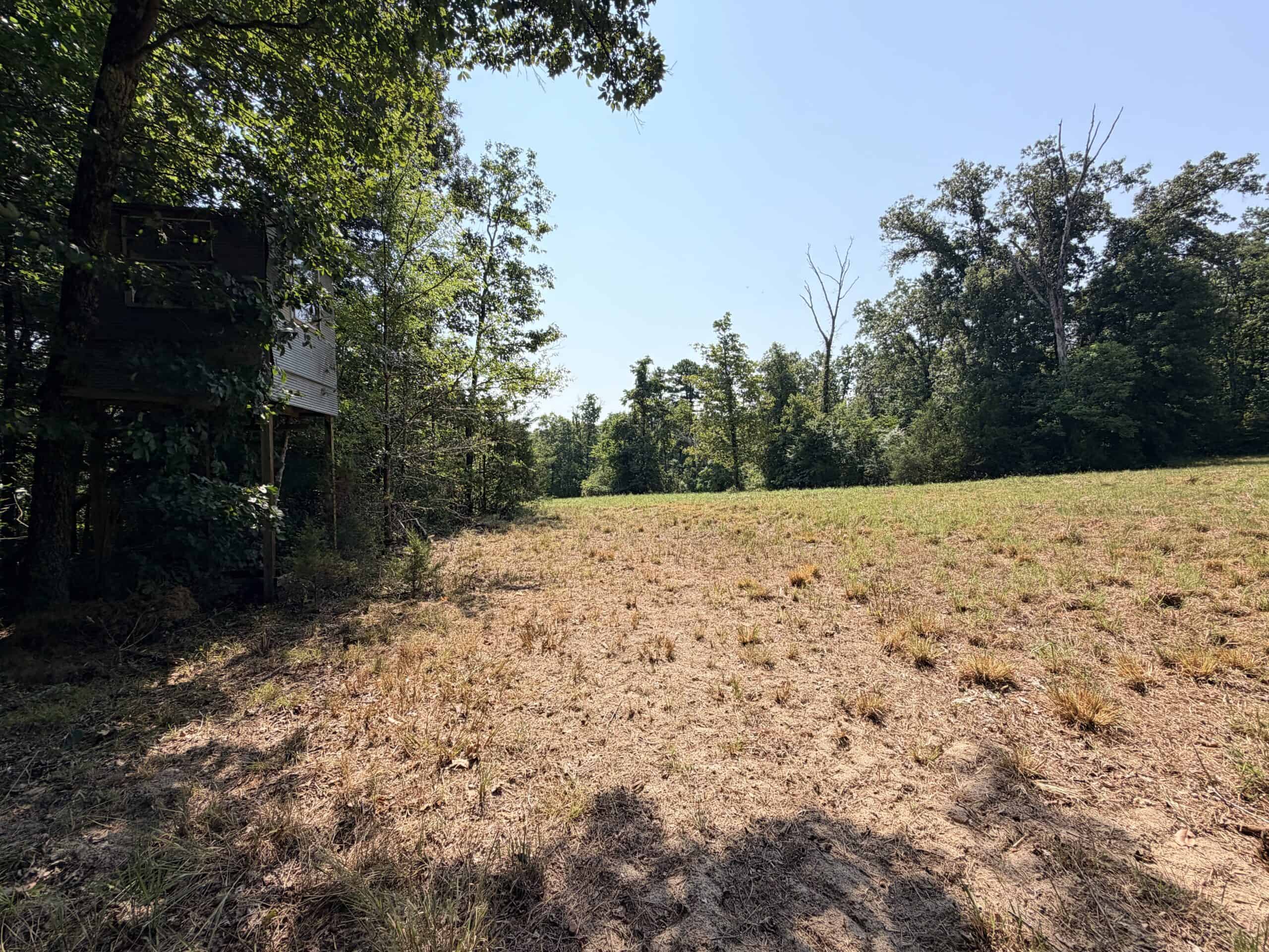 HUNTING LAND FOR SALE IN NORTH CENTRAL ARKANSAS