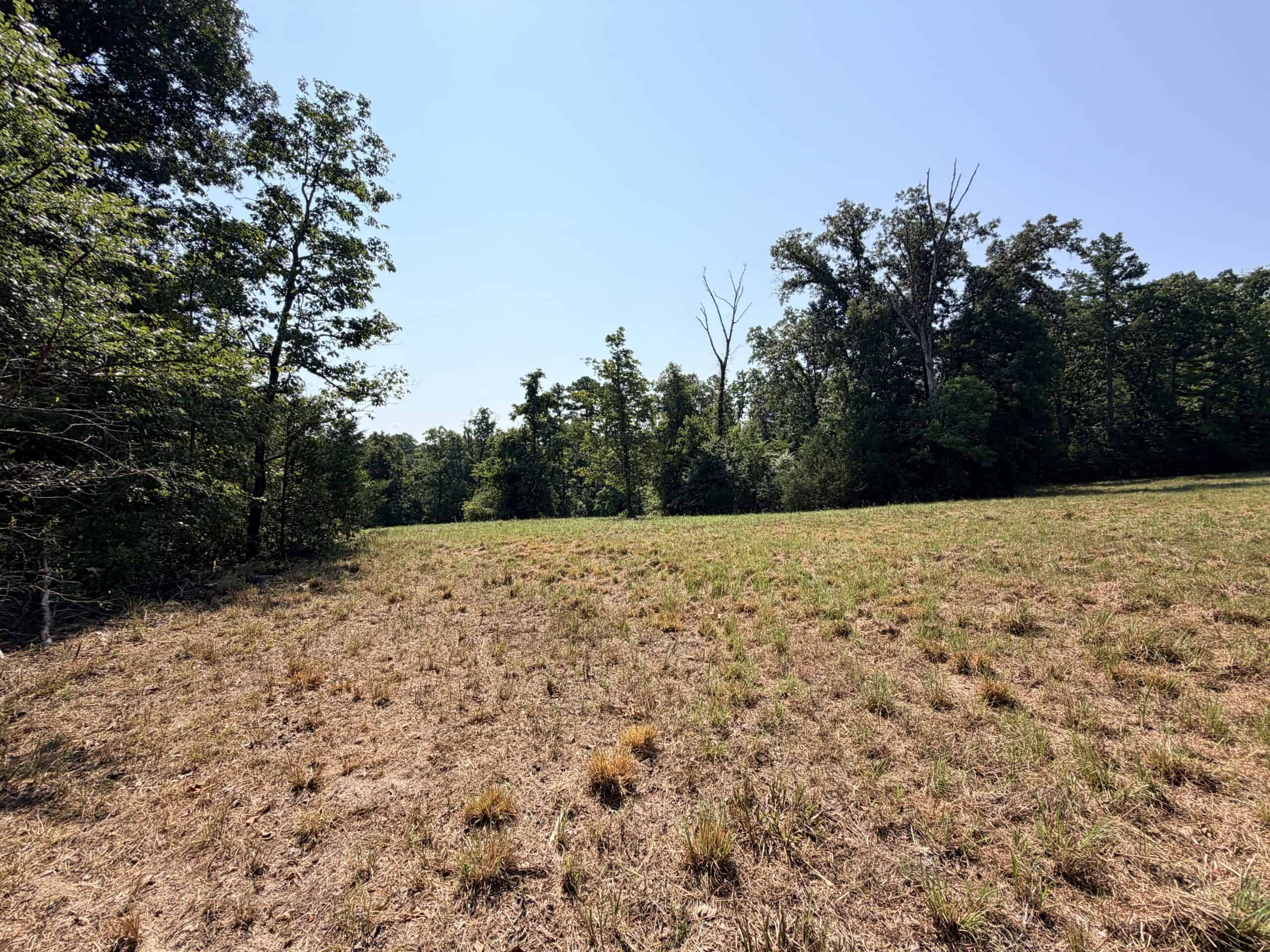 HUNTING LAND FOR SALE IN NORTH CENTRAL ARKANSAS