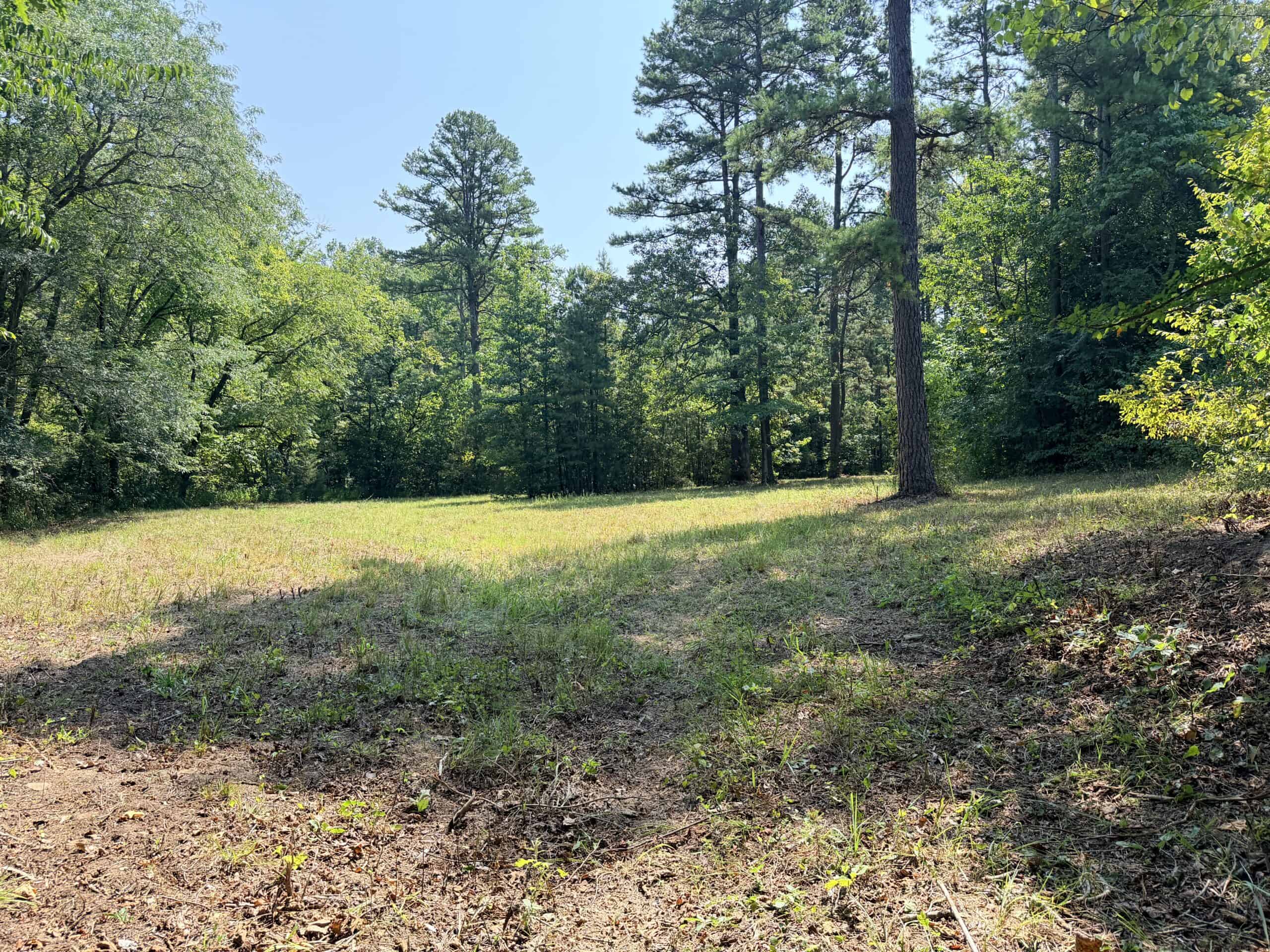 HUNTING LAND FOR SALE IN NORTH CENTRAL ARKANSAS