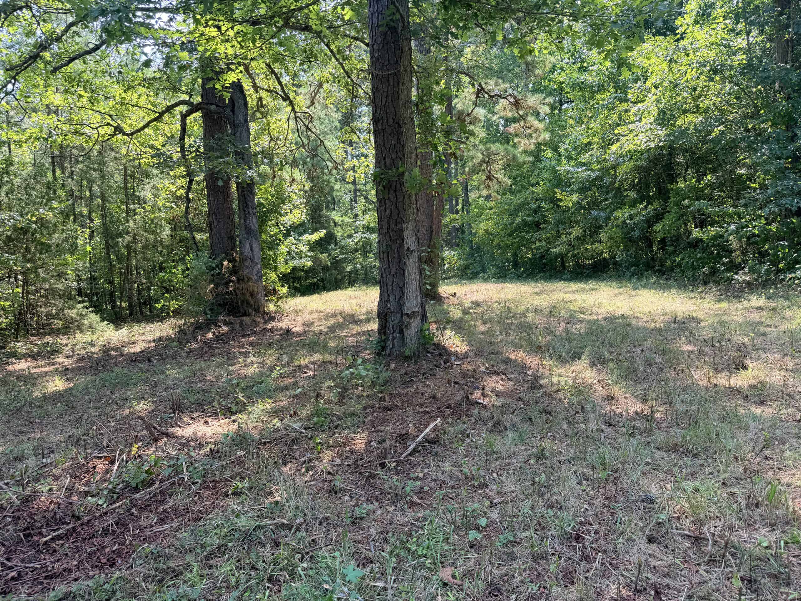 HUNTING LAND FOR SALE IN NORTH CENTRAL ARKANSAS