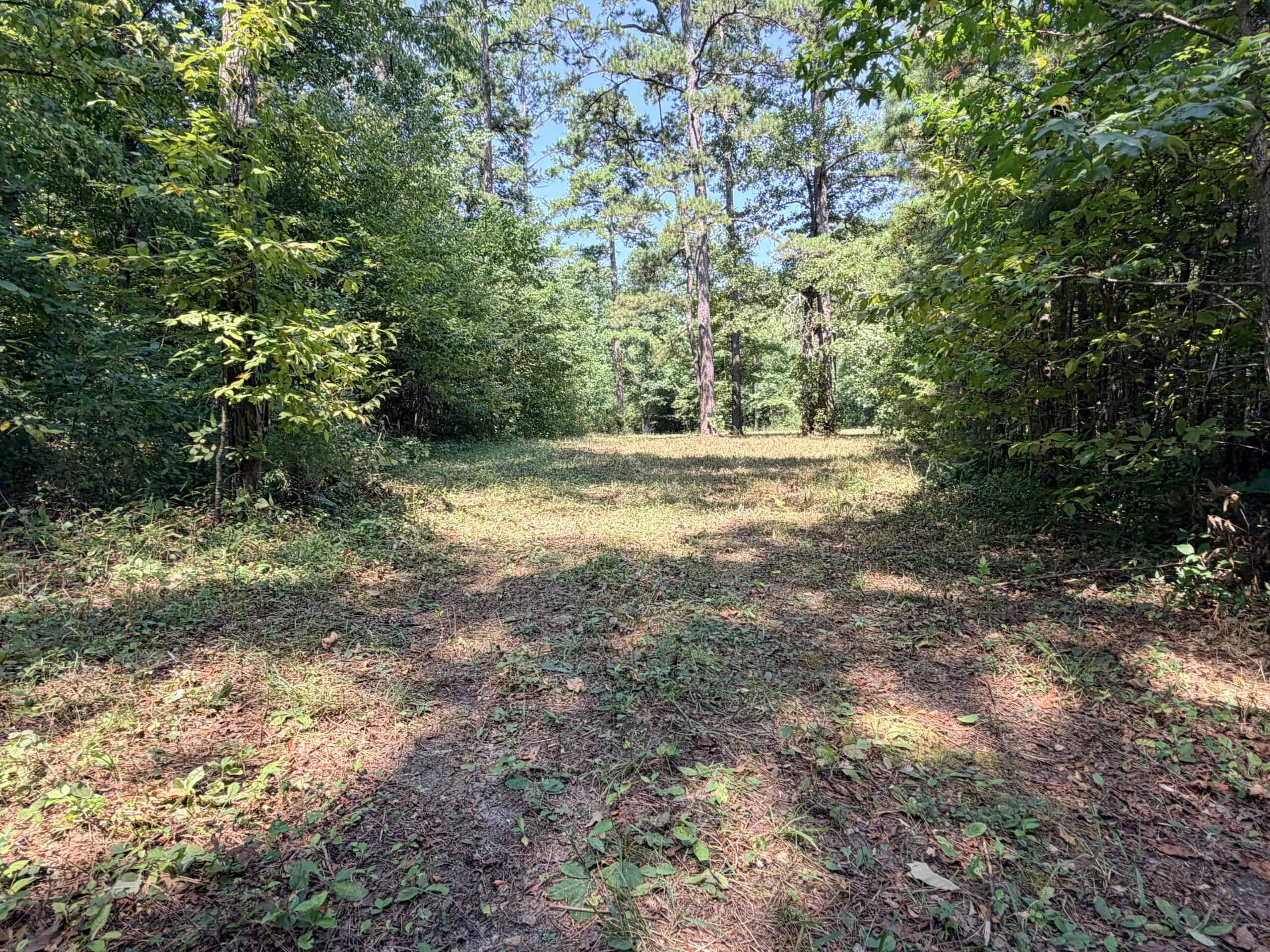 HUNTING LAND FOR SALE IN NORTH CENTRAL ARKANSAS