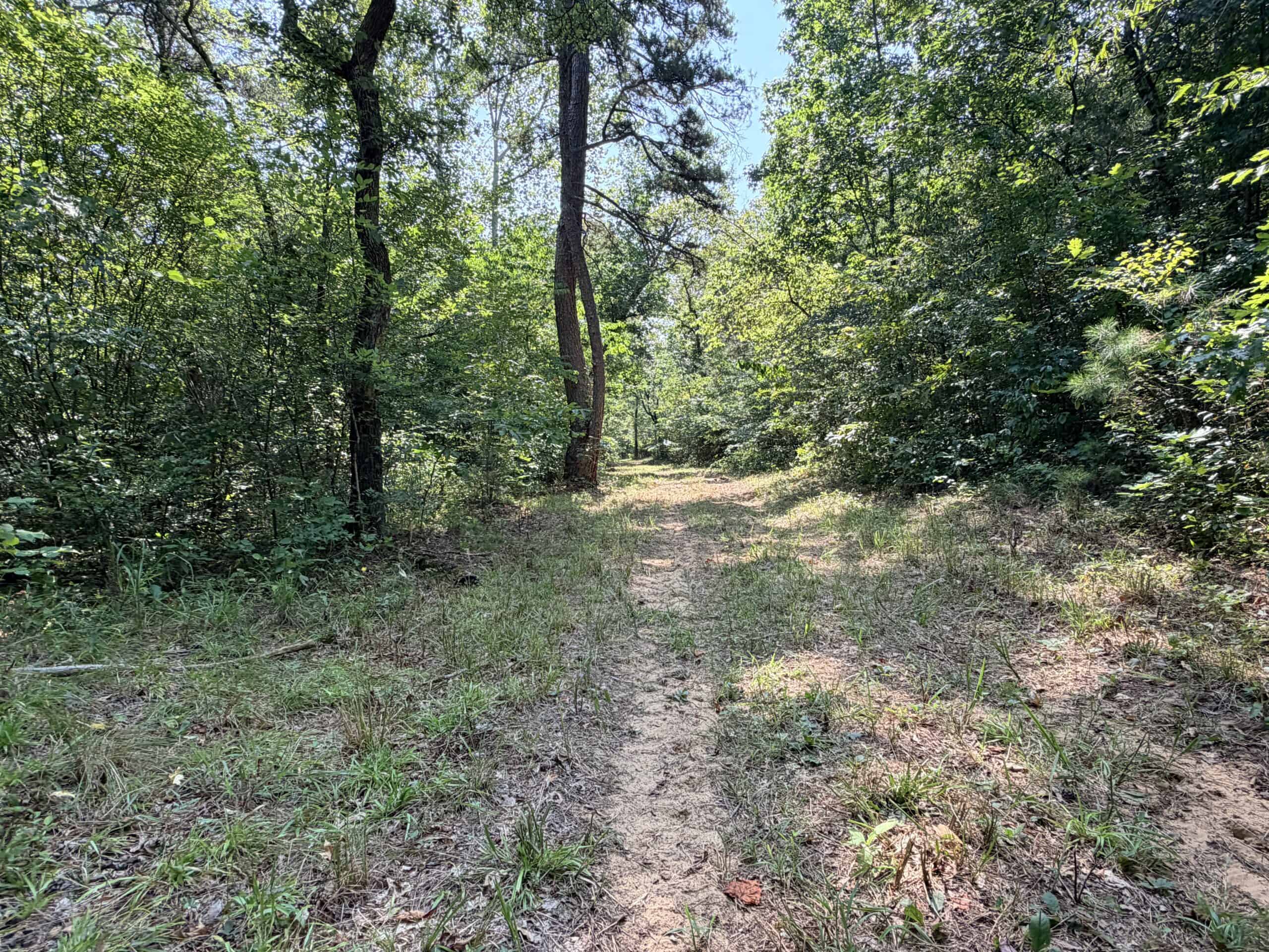 HUNTING LAND FOR SALE IN NORTH CENTRAL ARKANSAS