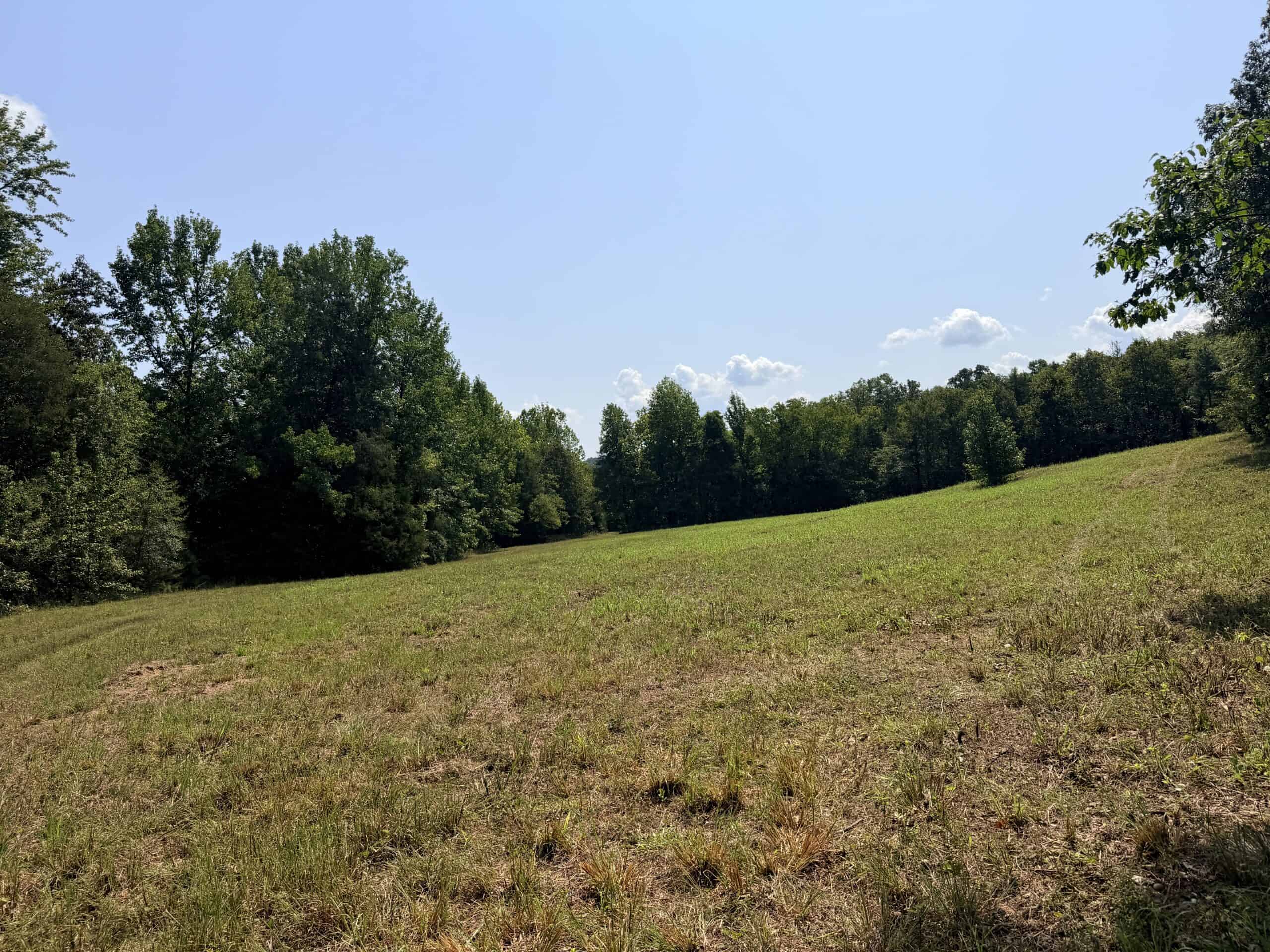 HUNTING LAND FOR SALE IN NORTH CENTRAL ARKANSAS