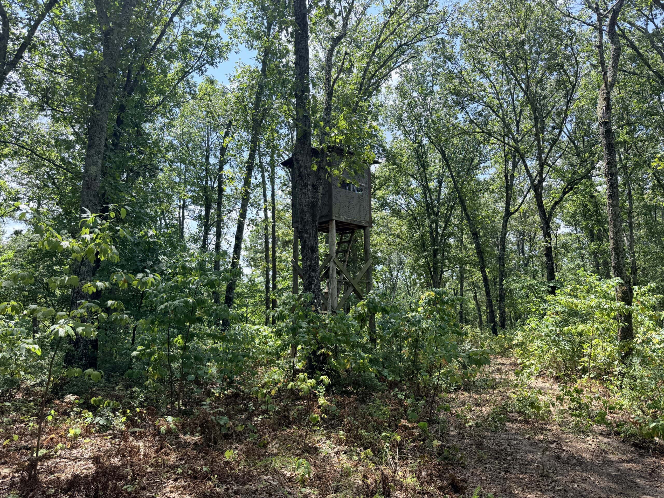 HUNTING LAND FOR SALE IN NORTH CENTRAL ARKANSAS