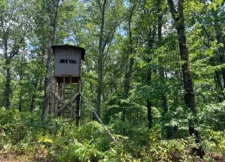 HUNTING LAND FOR SALE IN NORTH CENTRAL ARKANSAS