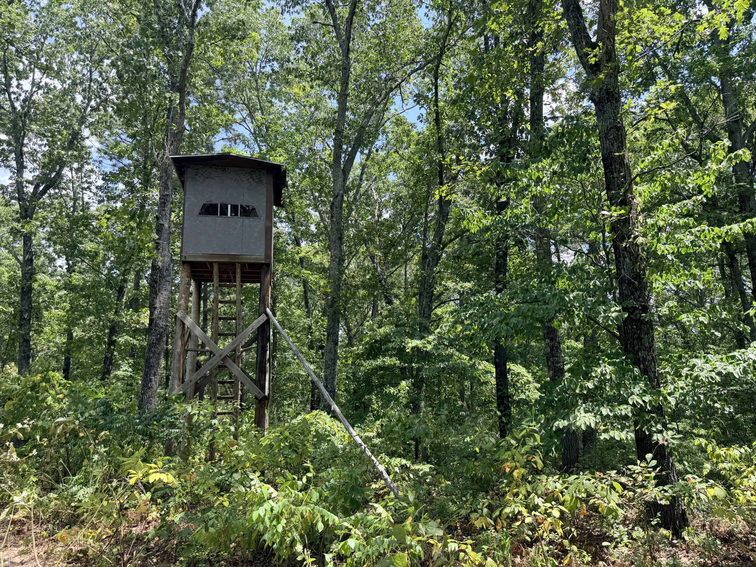 HUNTING LAND FOR SALE IN NORTH CENTRAL ARKANSAS