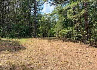 HUNTING LAND FOR SALE IN NORTH CENTRAL ARKANSAS