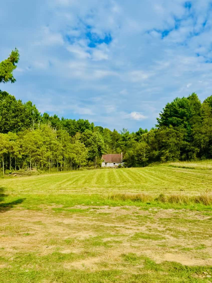 Large Recreational Tract for Sale in Bent Mountain VA