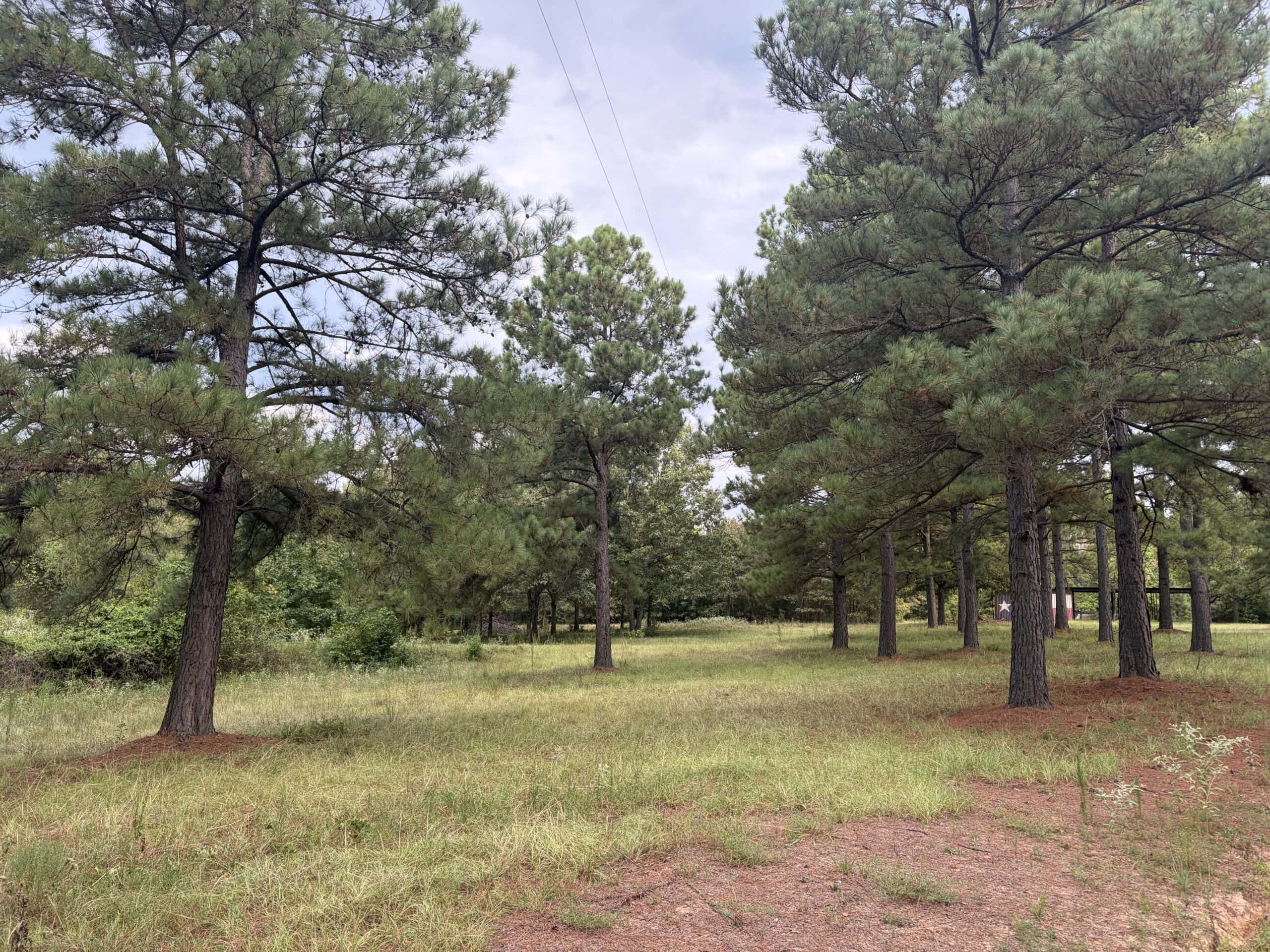 ±18.15 Acres Near Historic Jefferson with Septic & Ponds