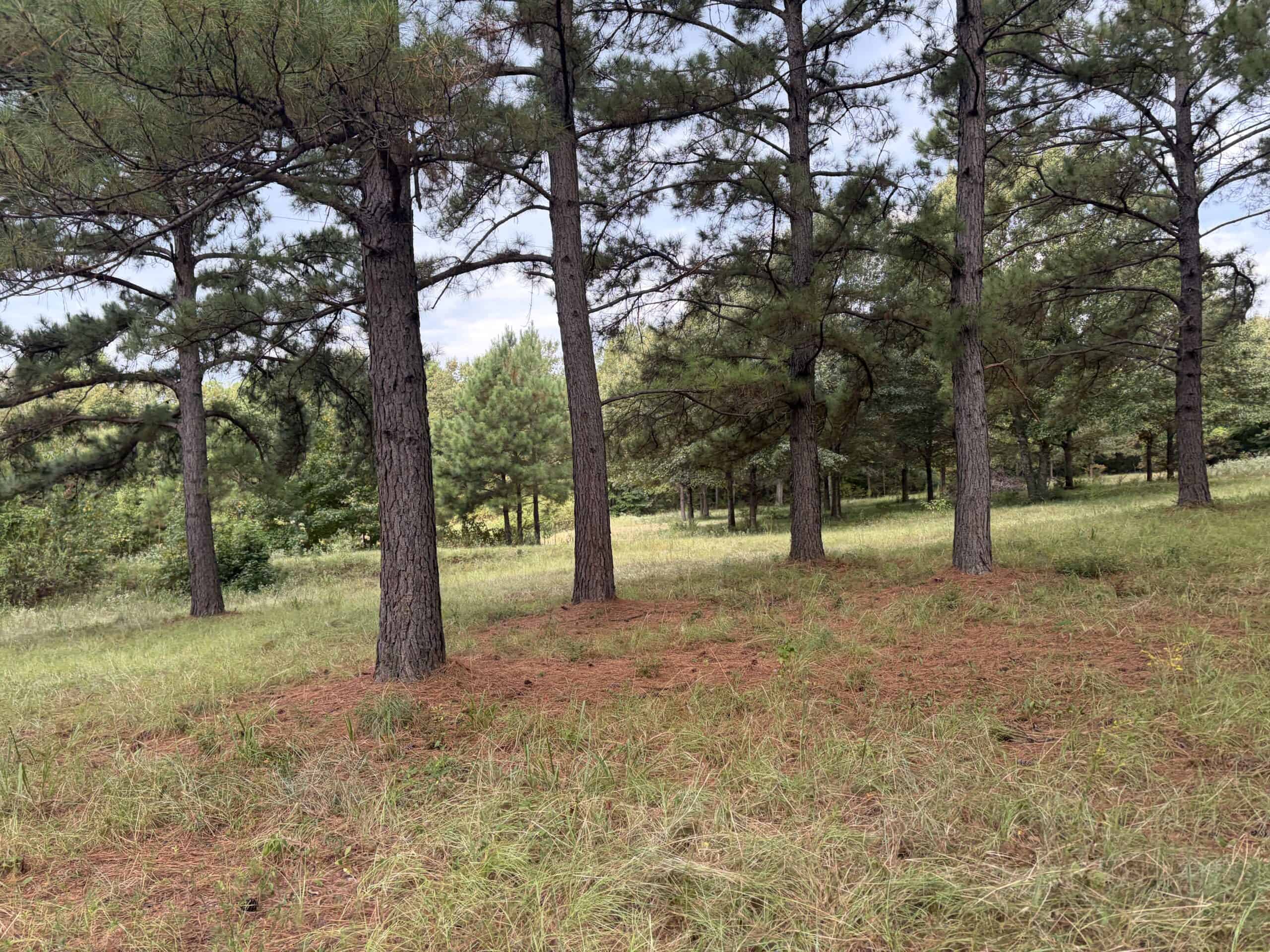 ±18.15 Acres Near Historic Jefferson with Septic & Ponds
