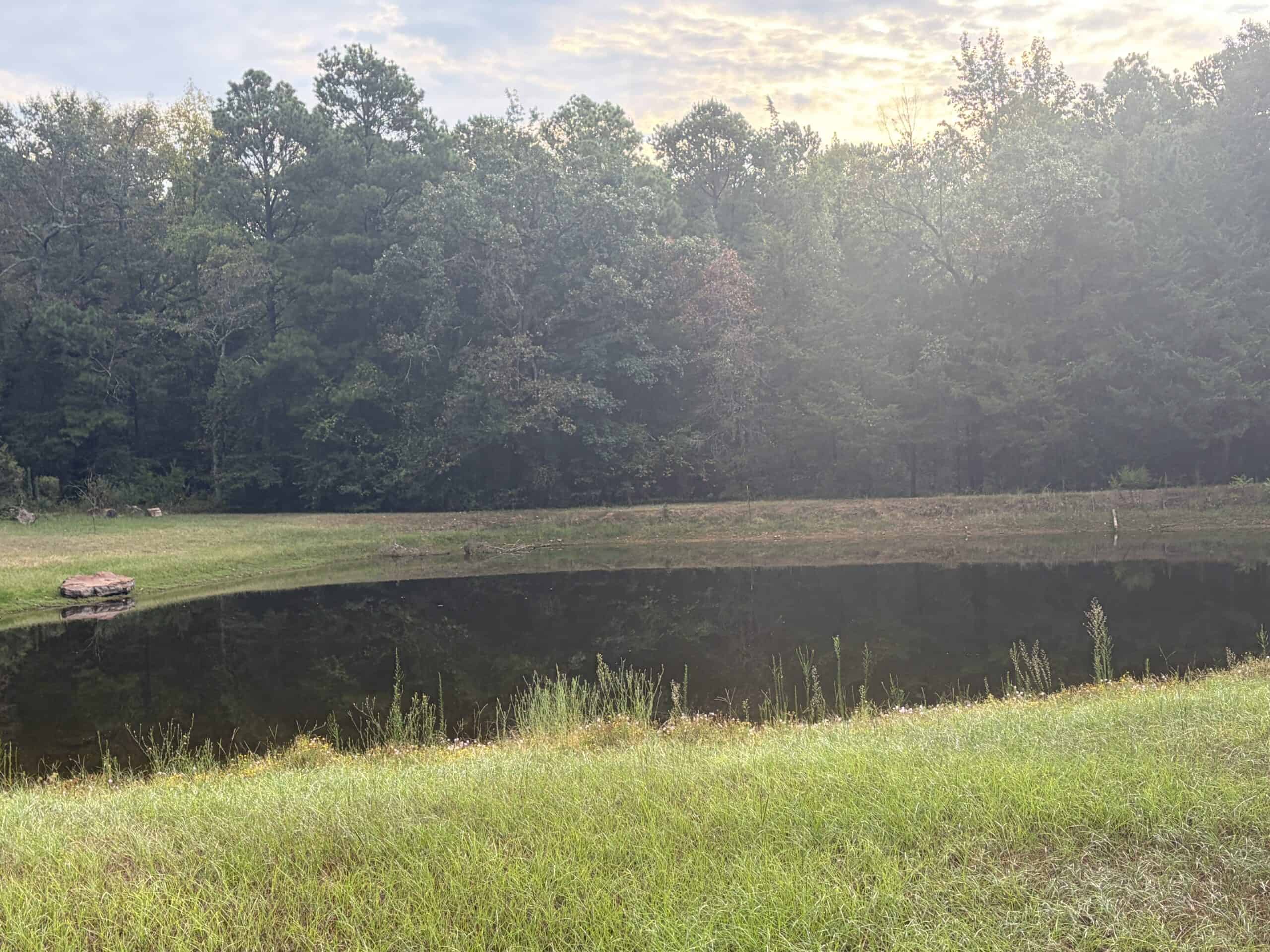 ±18.15 Acres Near Historic Jefferson with Septic & Ponds
