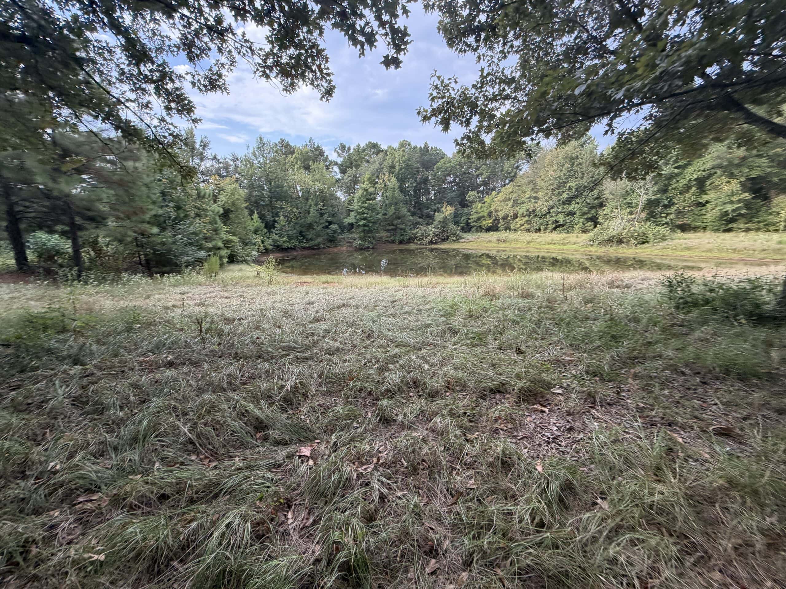 ±18.15 Acres Near Historic Jefferson with Septic & Ponds