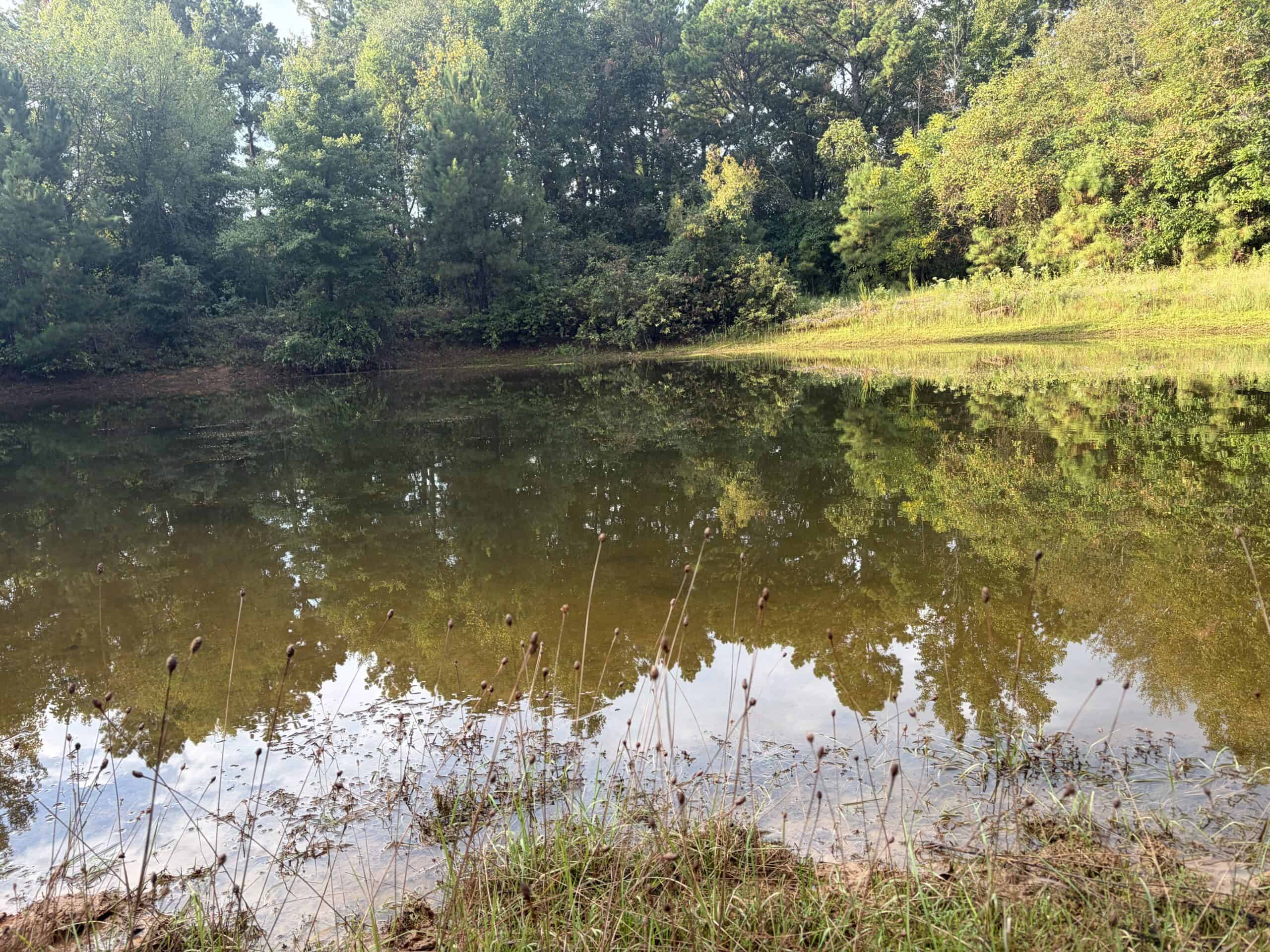 ±18.15 Acres Near Historic Jefferson with Septic & Ponds