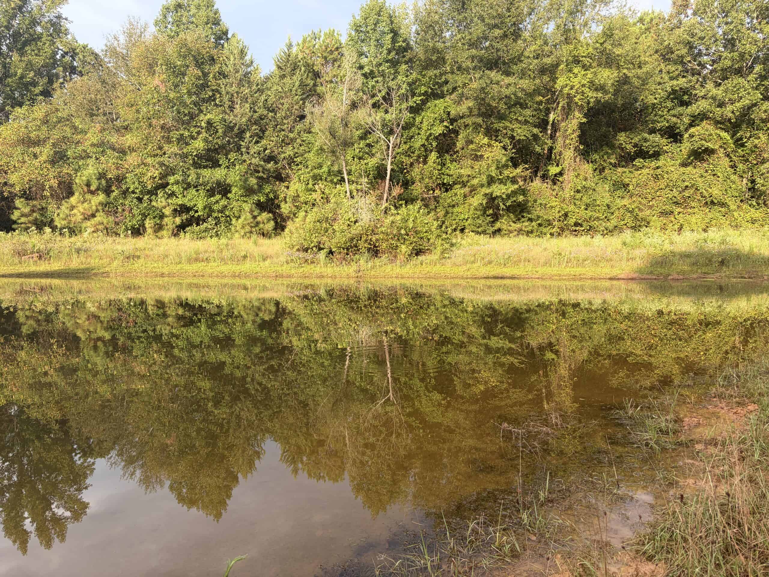 ±18.15 Acres Near Historic Jefferson with Septic & Ponds