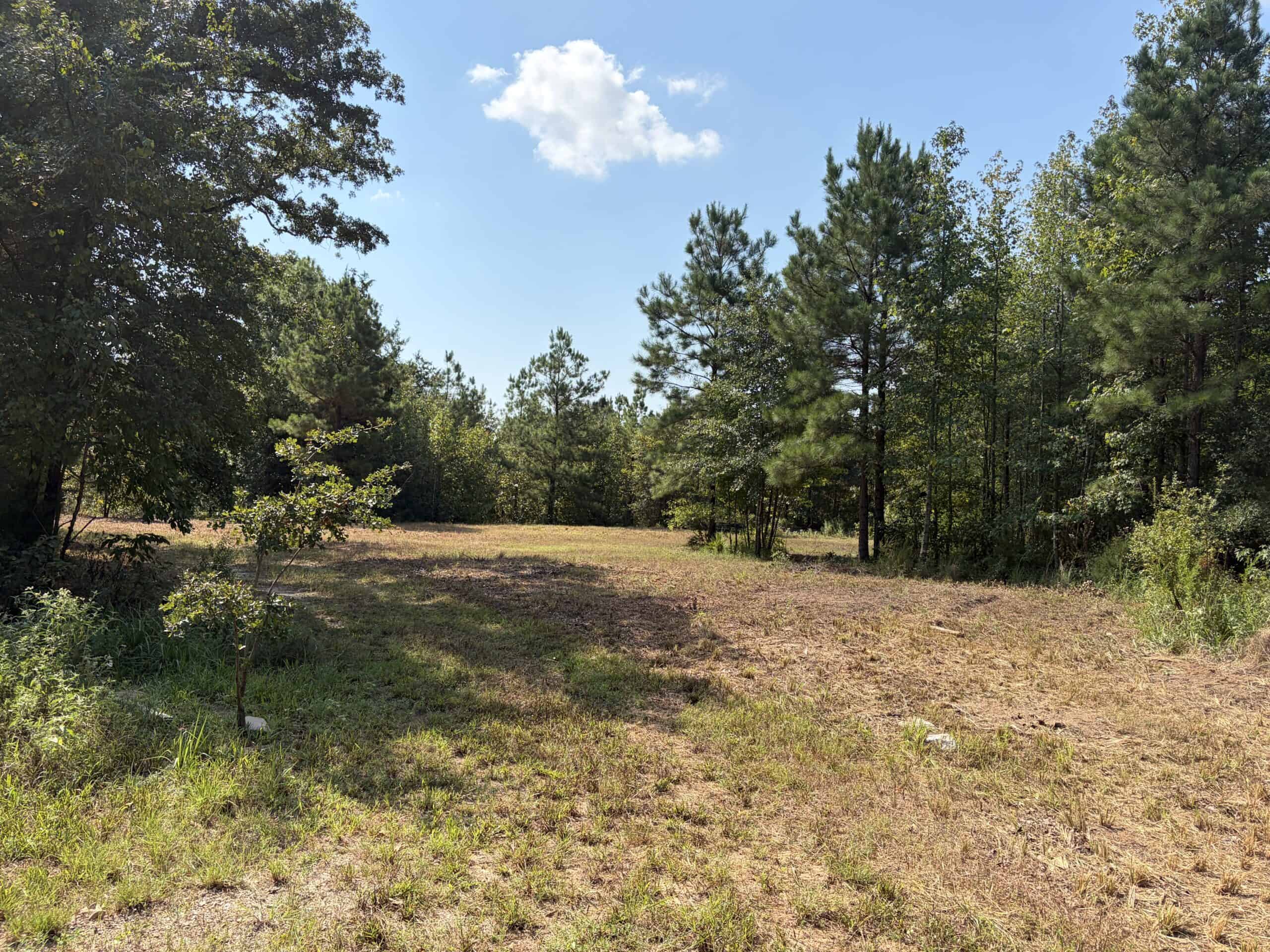 ±16.71 Acres in Linden TX | Land For Sale with Cabin & Power