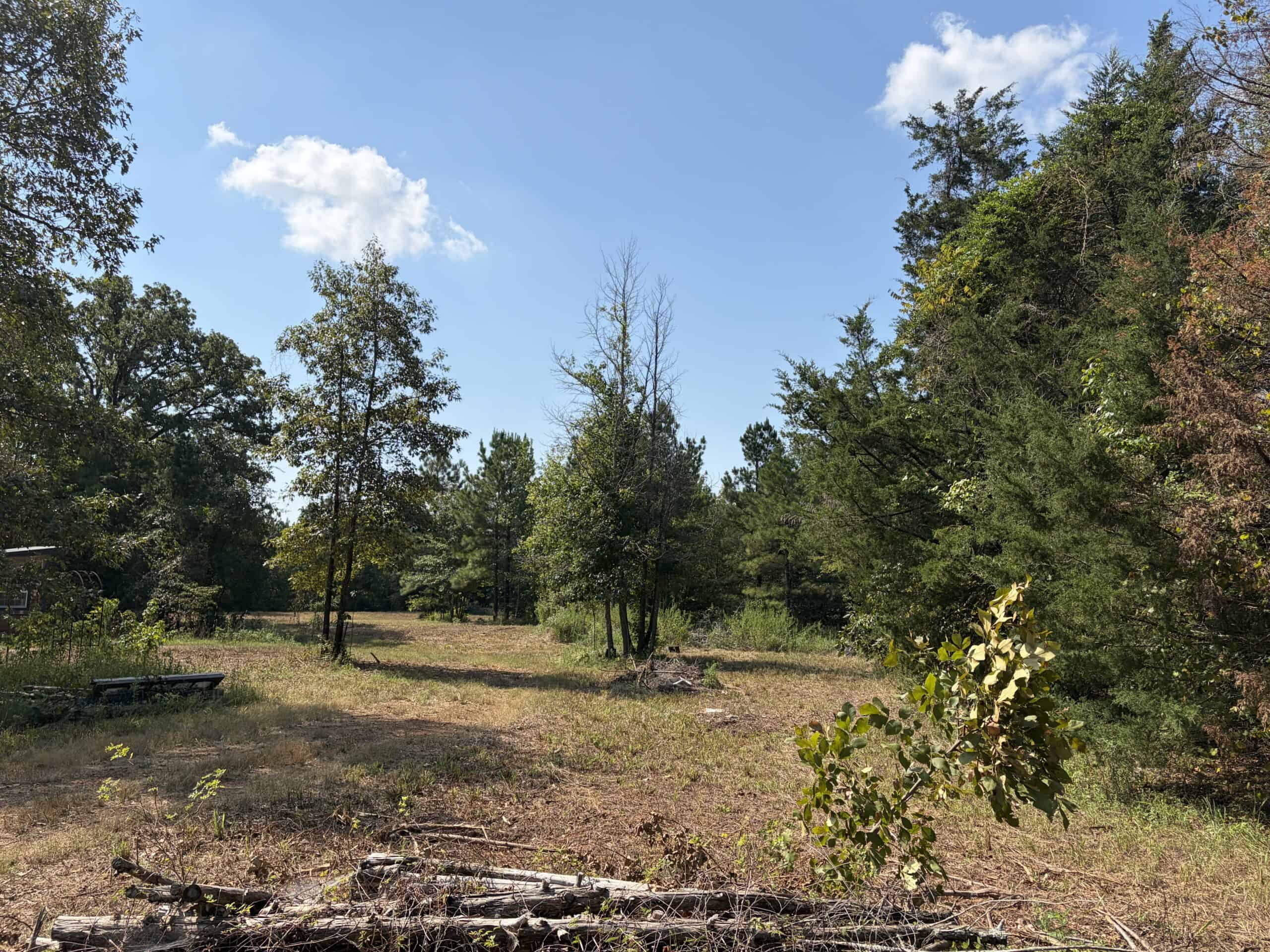 ±16.71 Acres in Linden TX | Land For Sale with Cabin & Power
