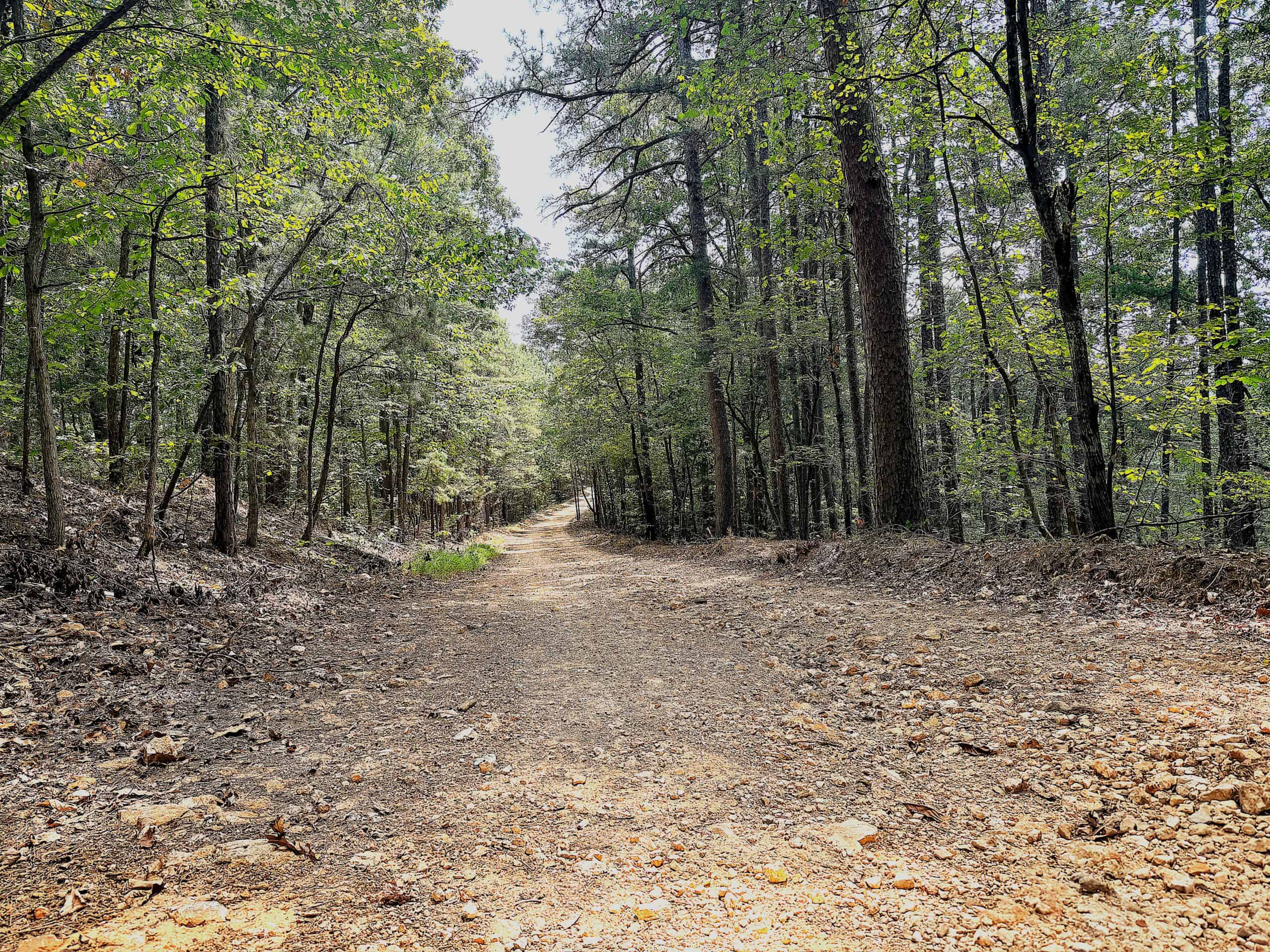 LAND FOR SALE IN NORTH CENTRAL ARKANSAS