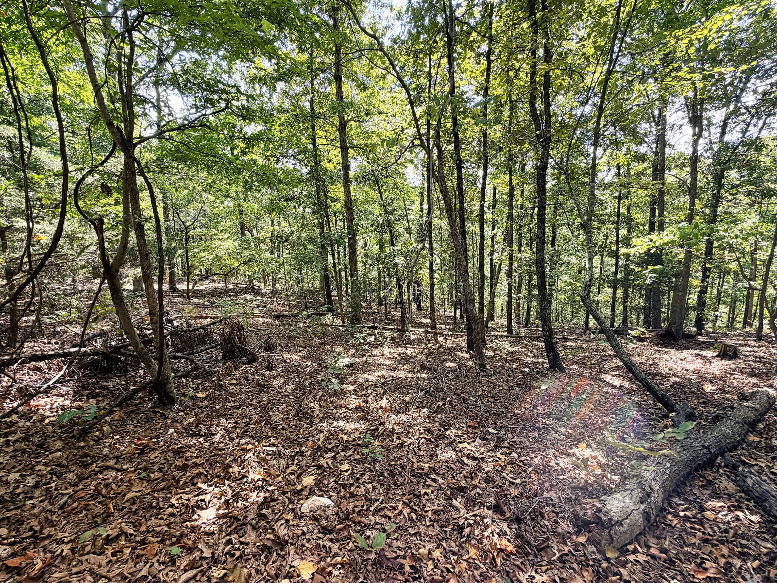 LAND FOR SALE IN NORTH CENTRAL ARKANSAS