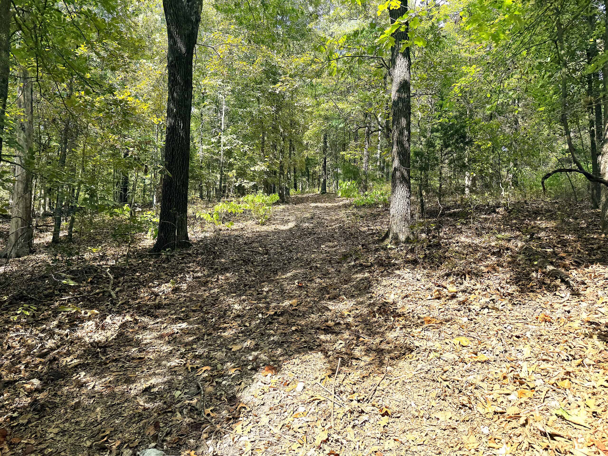 LAND FOR SALE IN NORTH CENTRAL ARKANSAS