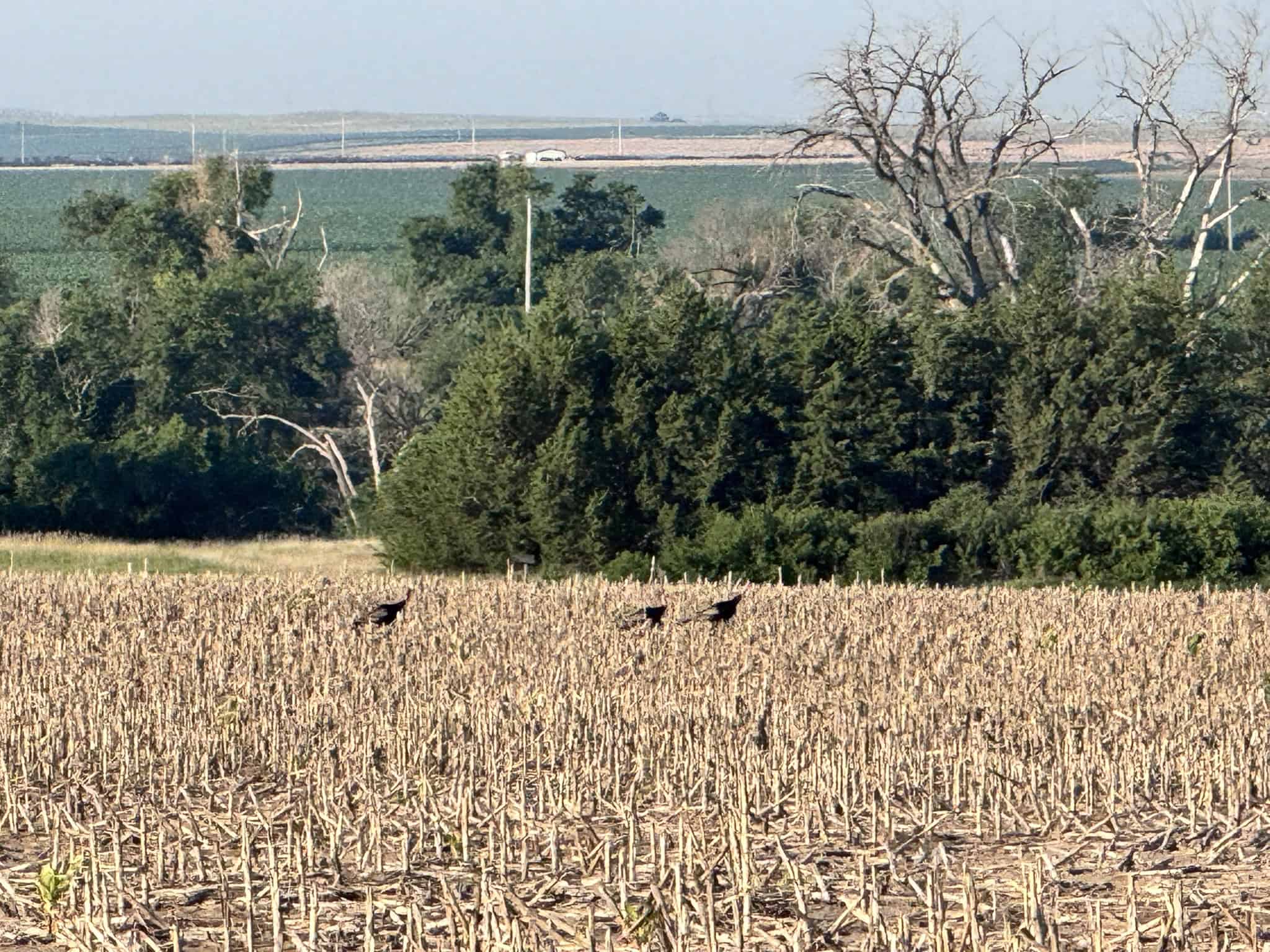 Large Acreage – Chase County Farm, Hunt and Build