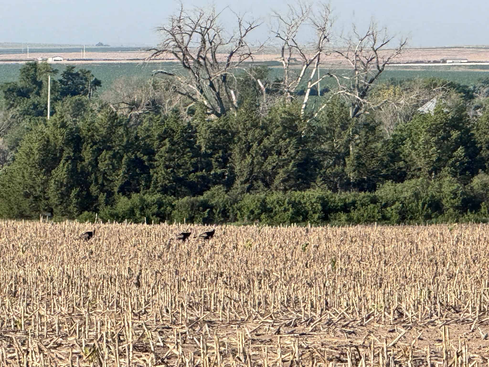 Large Acreage – Chase County Farm, Hunt and Build