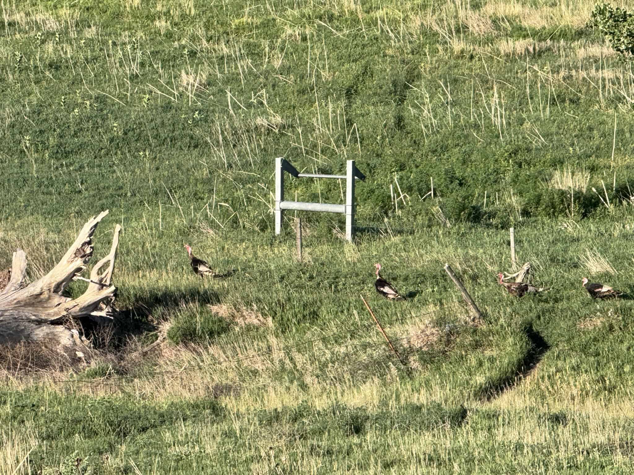 Large Acreage – Chase County Farm, Hunt and Build