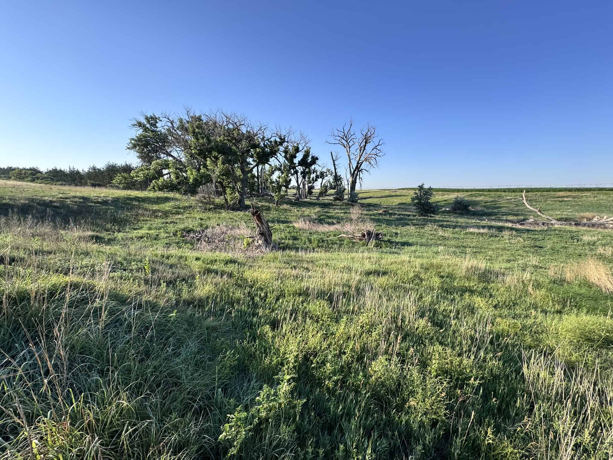 Large Acreage – Chase County Farm, Hunt and Build