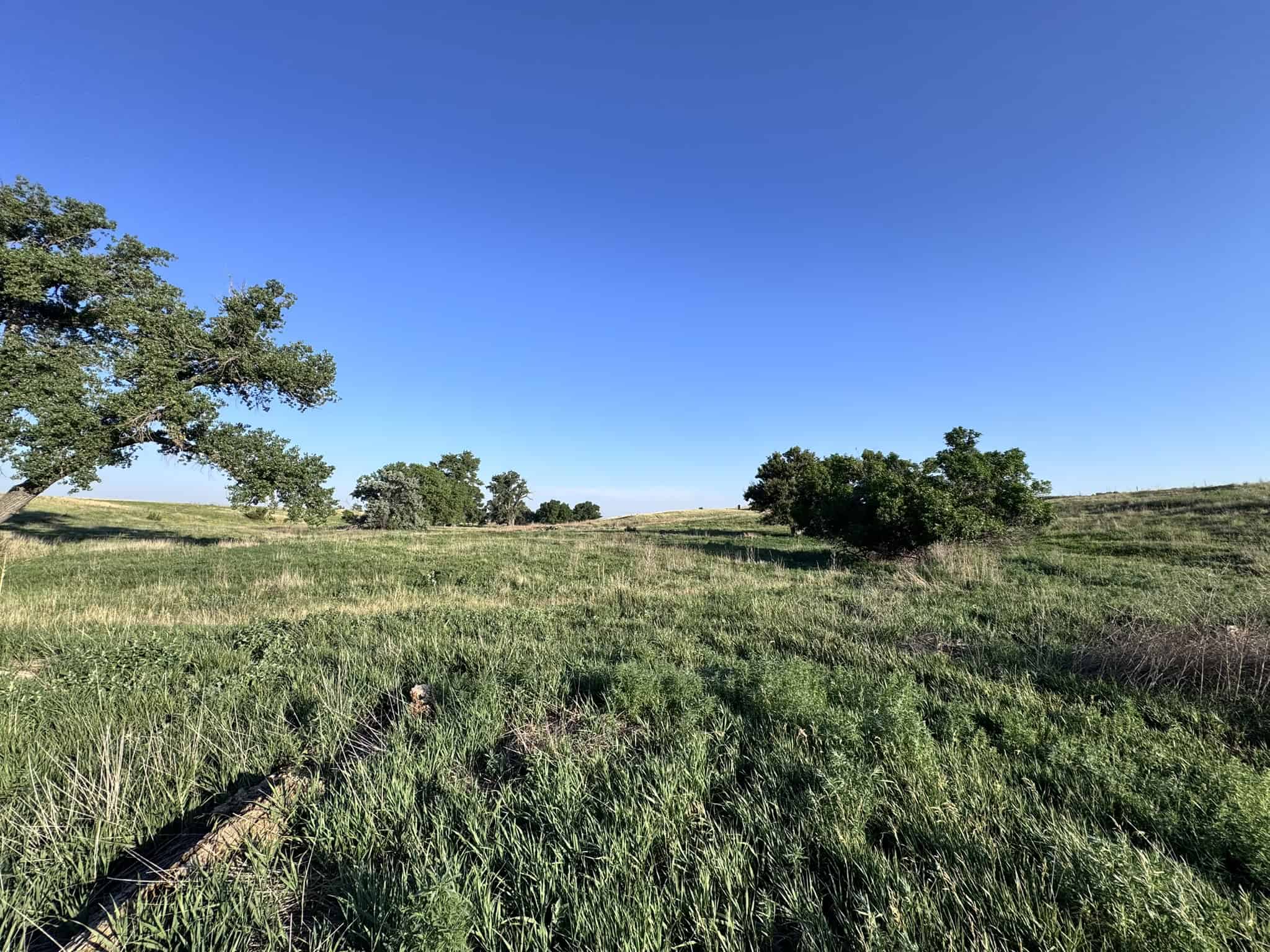 Large Acreage – Chase County Farm, Hunt and Build