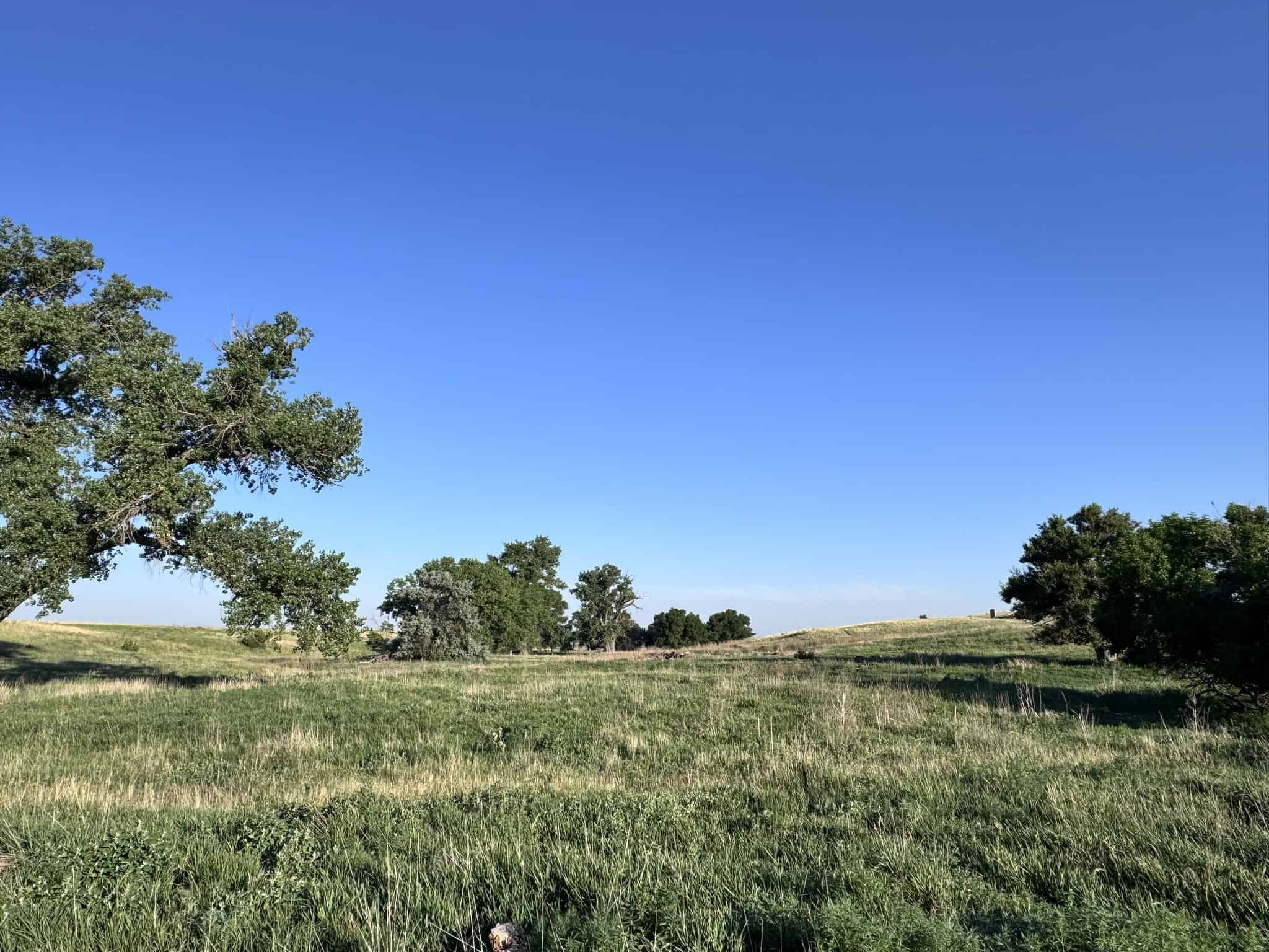Large Acreage – Chase County Farm, Hunt and Build