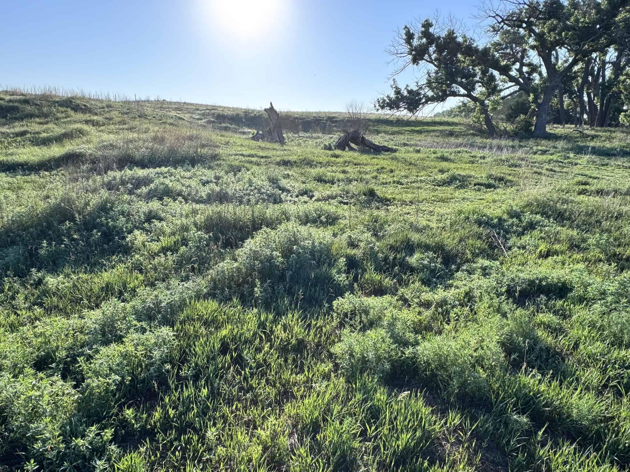 Large Acreage – Chase County Farm, Hunt and Build