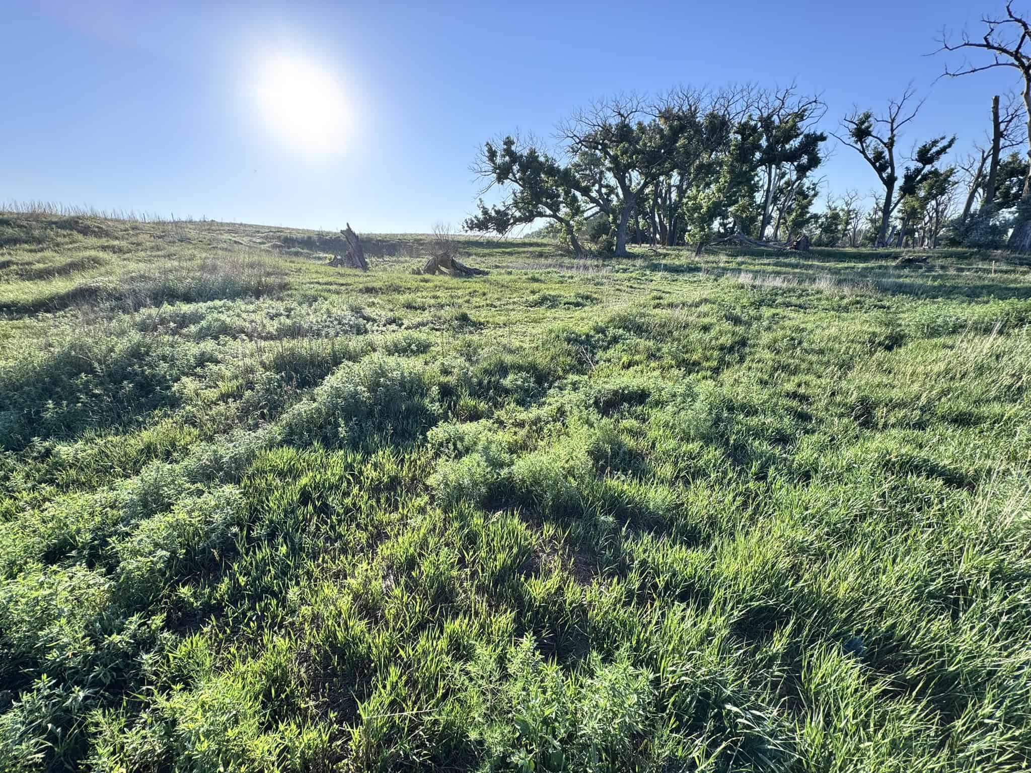 Large Acreage – Chase County Farm, Hunt and Build
