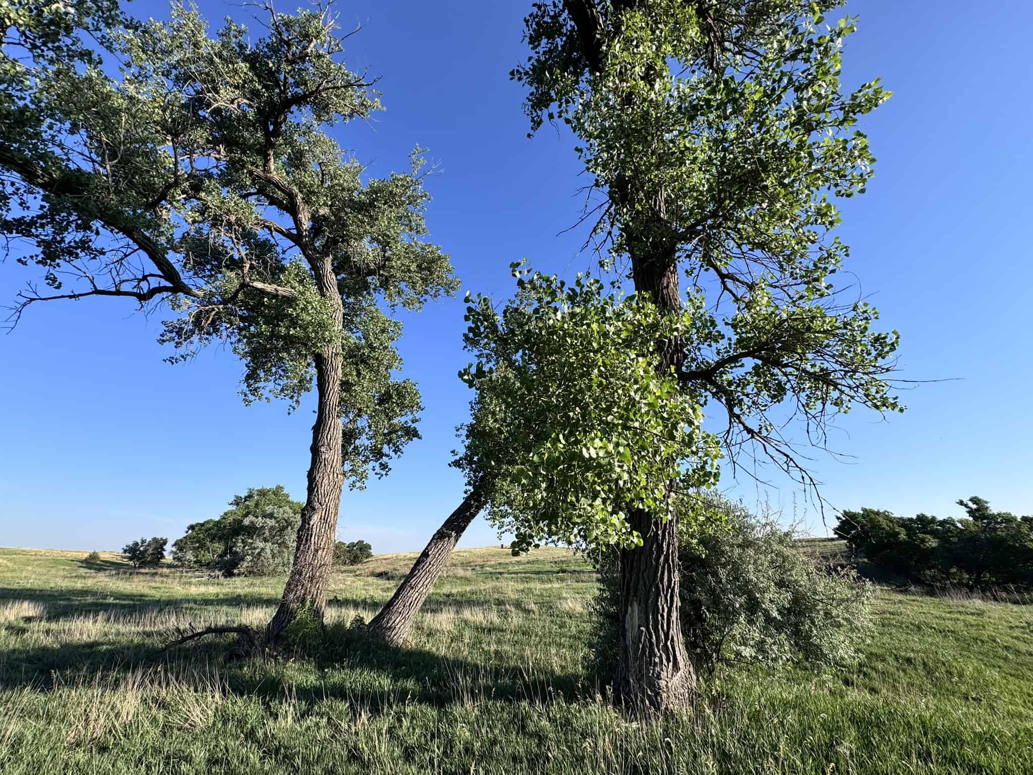 Large Acreage – Chase County Farm, Hunt and Build